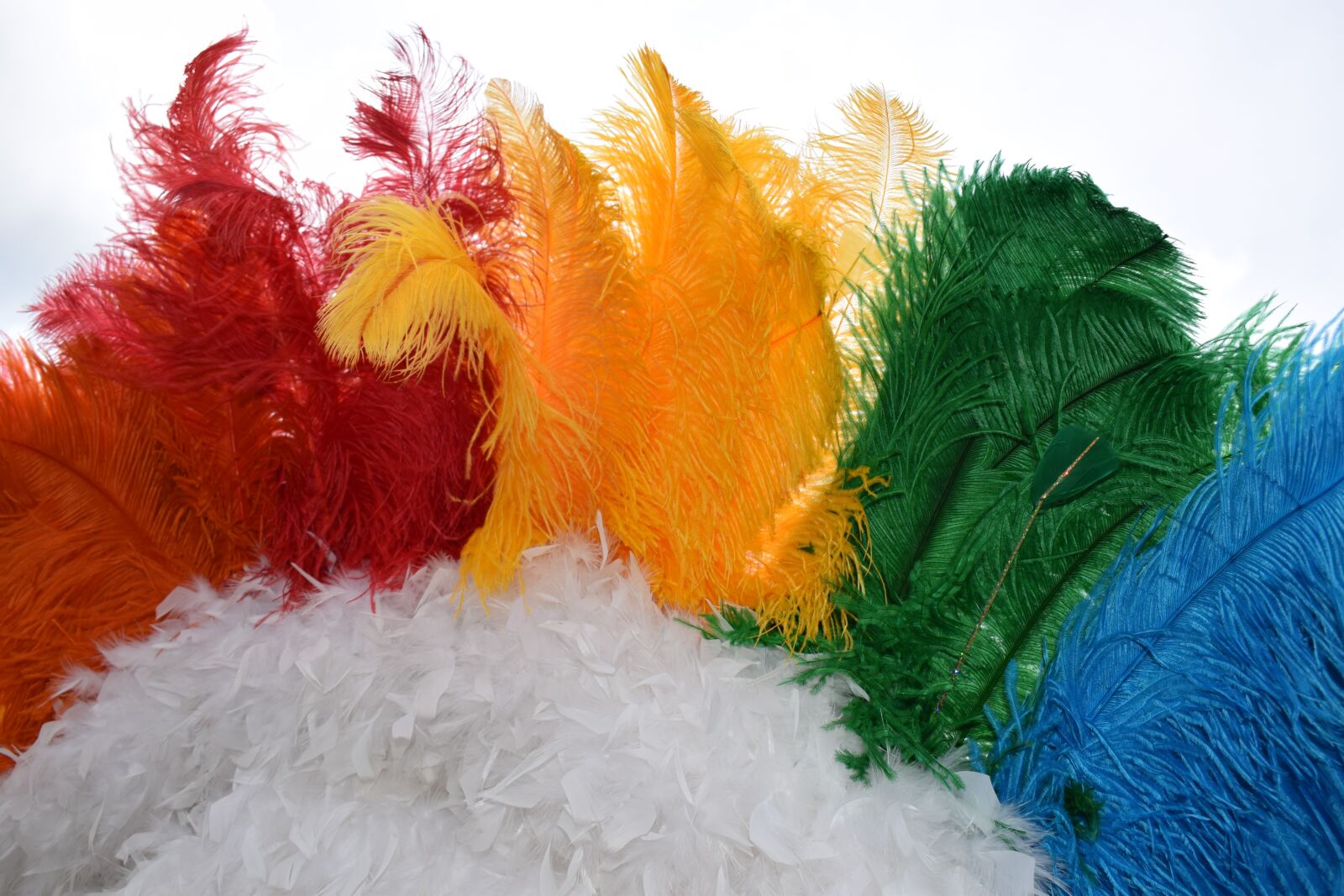 Nikon D3300 sample photo. Pride, feathers, headdress photography