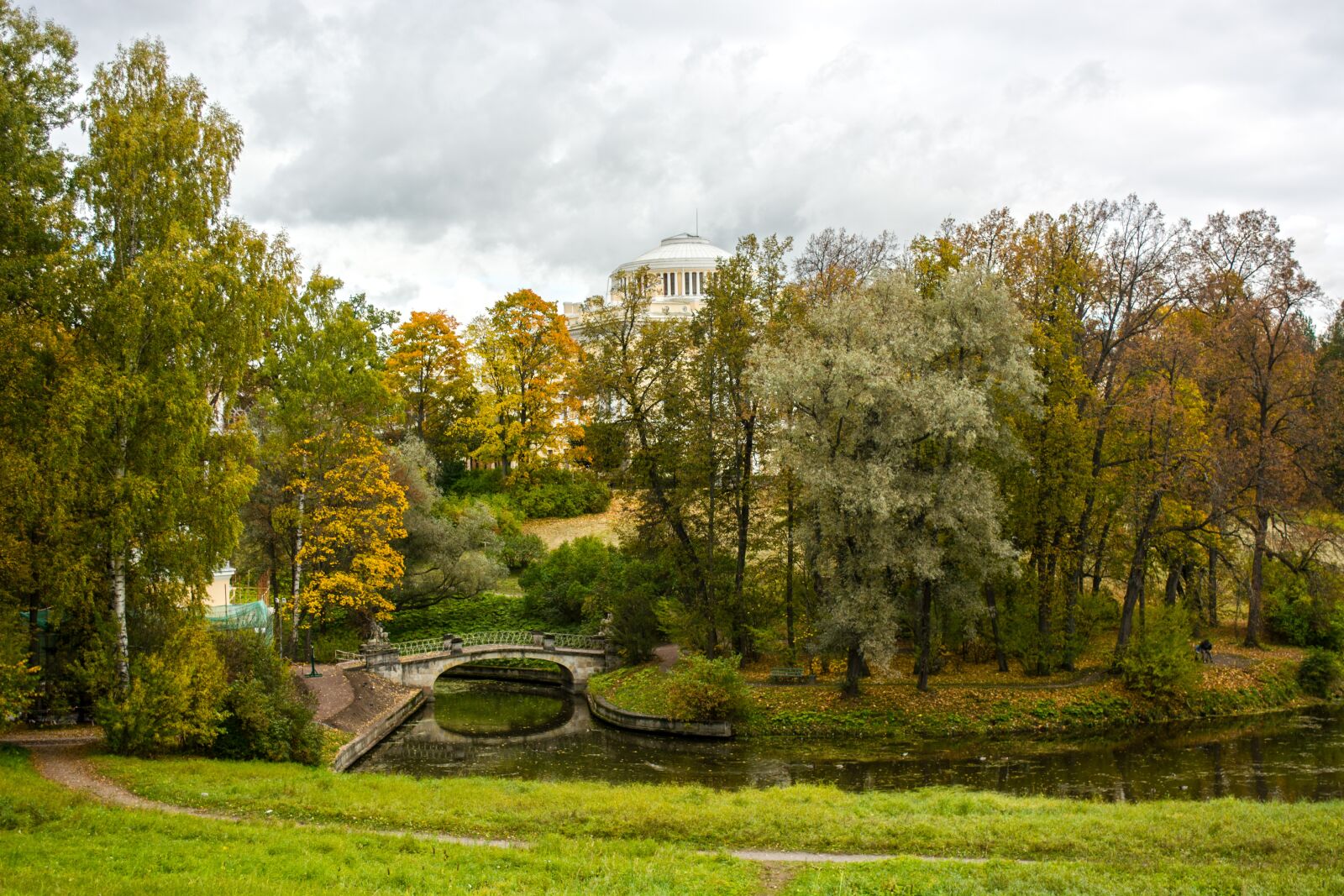 Nikon D5200 sample photo. Park, autumn, nature photography