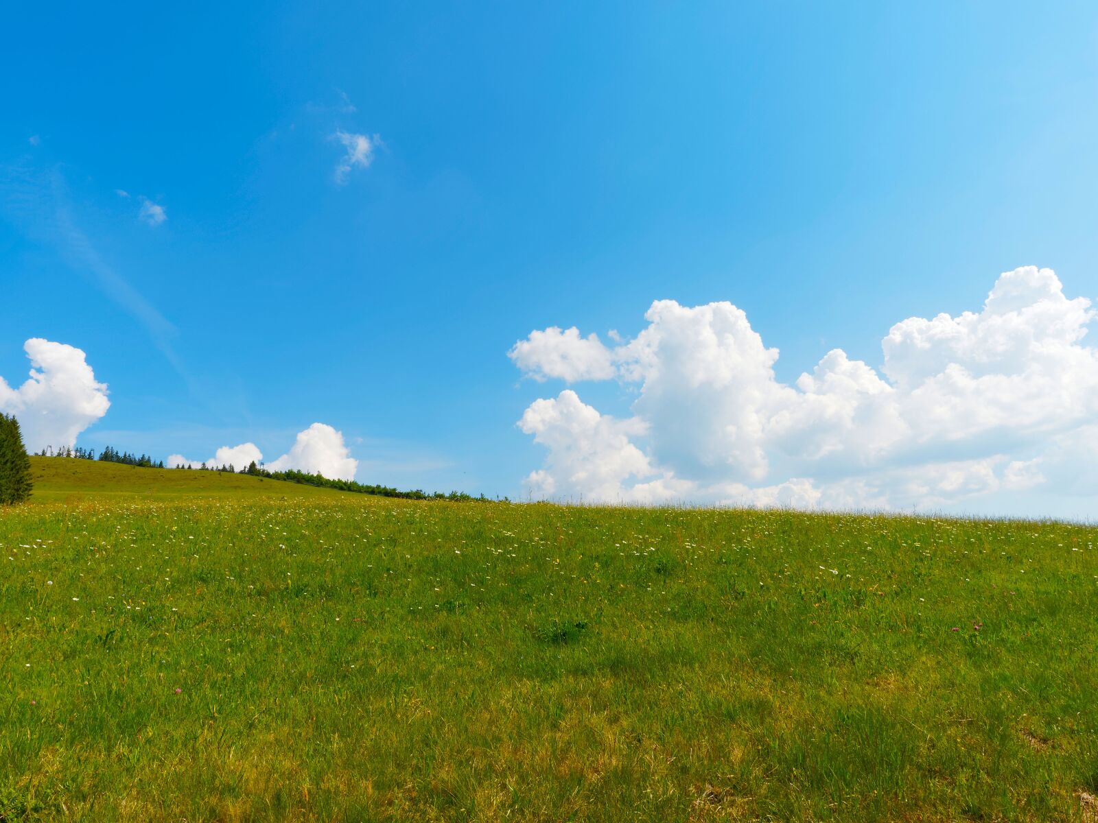 Olympus OM-D E-M1 + Olympus M.Zuiko Digital ED 12-40mm F2.8 Pro sample photo. Landscape, fields, sky photography