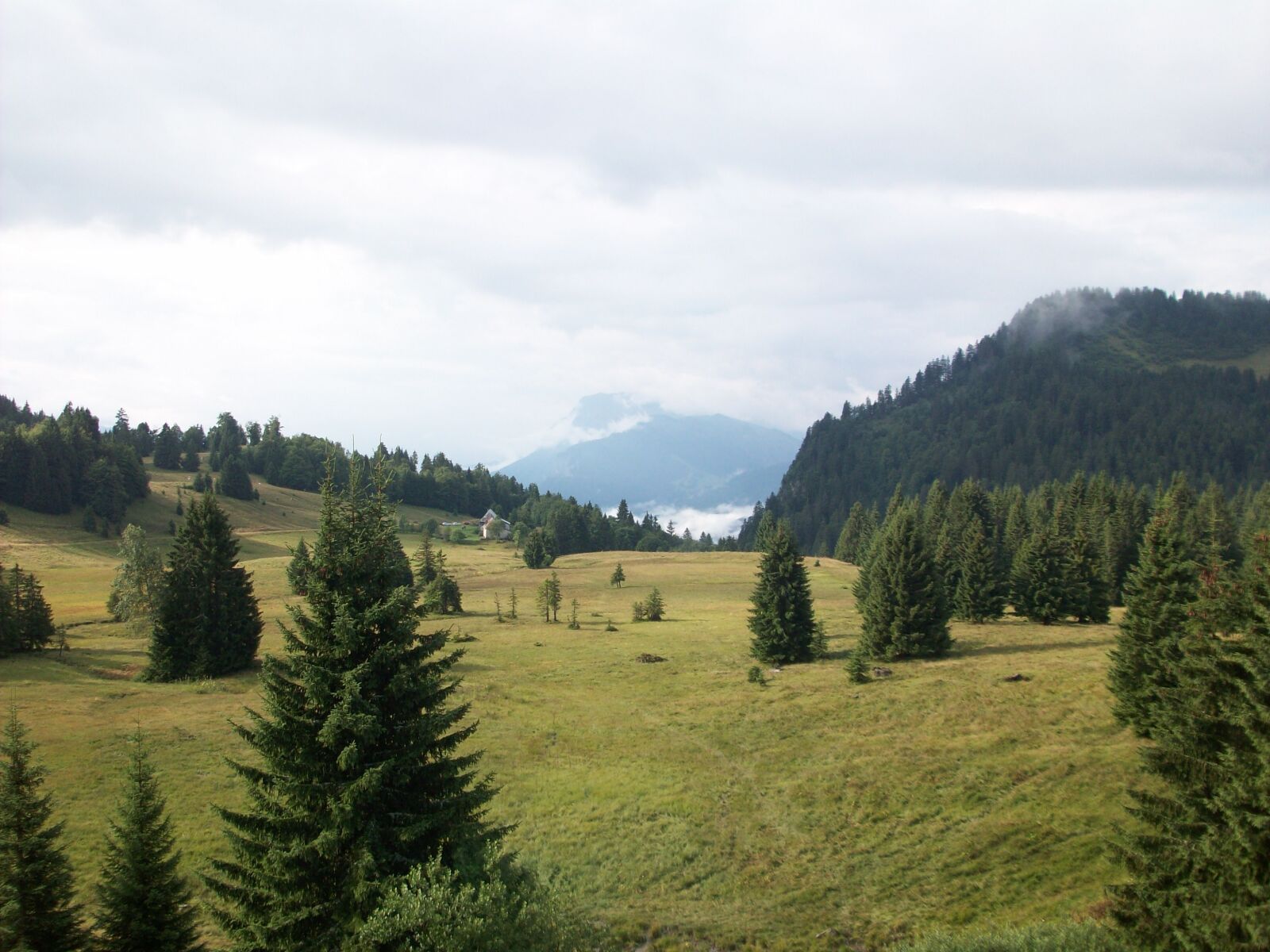 Kodak EASYSHARE M863 DIGITAL CAMERA sample photo. Mountain, fir, landscape photography