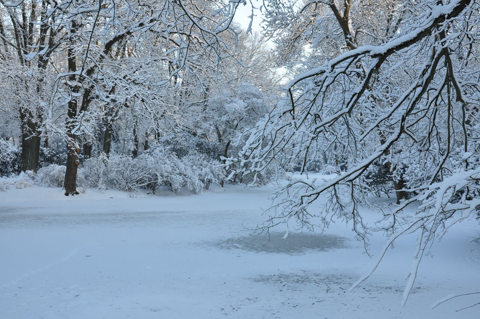 Nikon D90 sample photo. Winter, landscape, nature recording photography