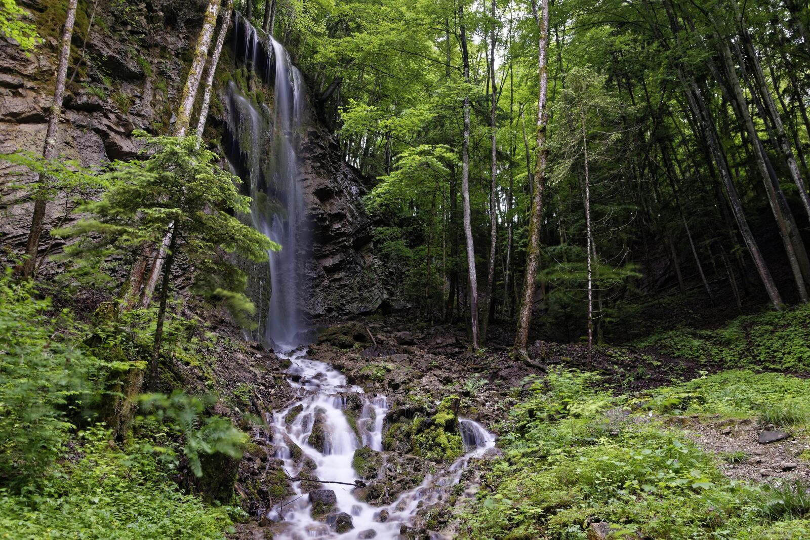 Nikon D5500 sample photo. Waterfall, nature, forest photography