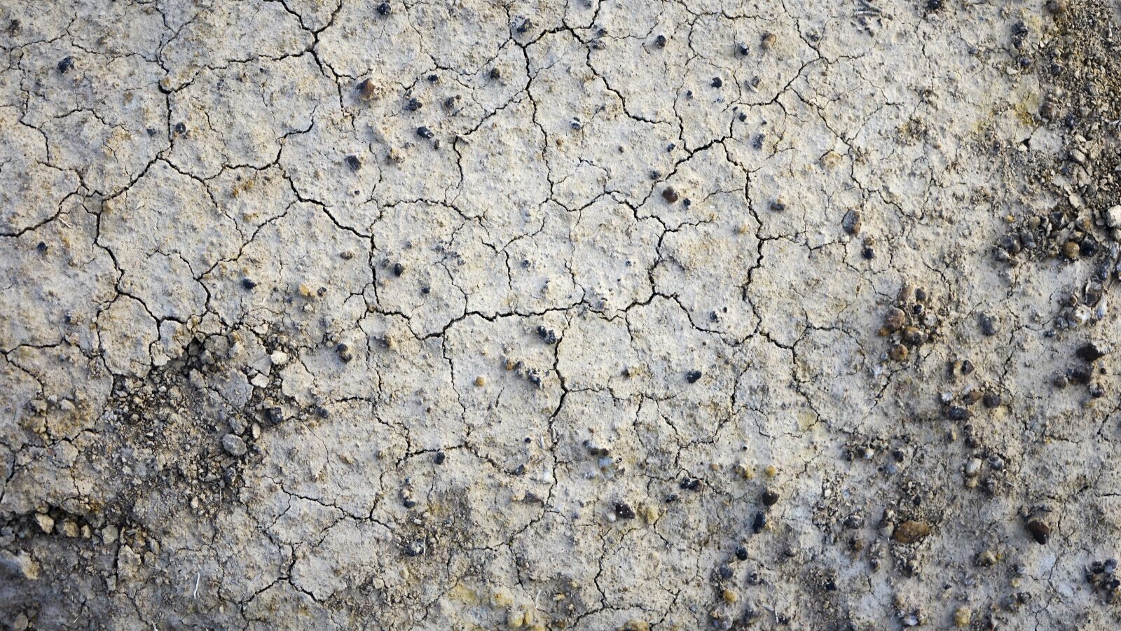 Sony Cyber-shot DSC-RX10 II sample photo. Background, texture, ground photography