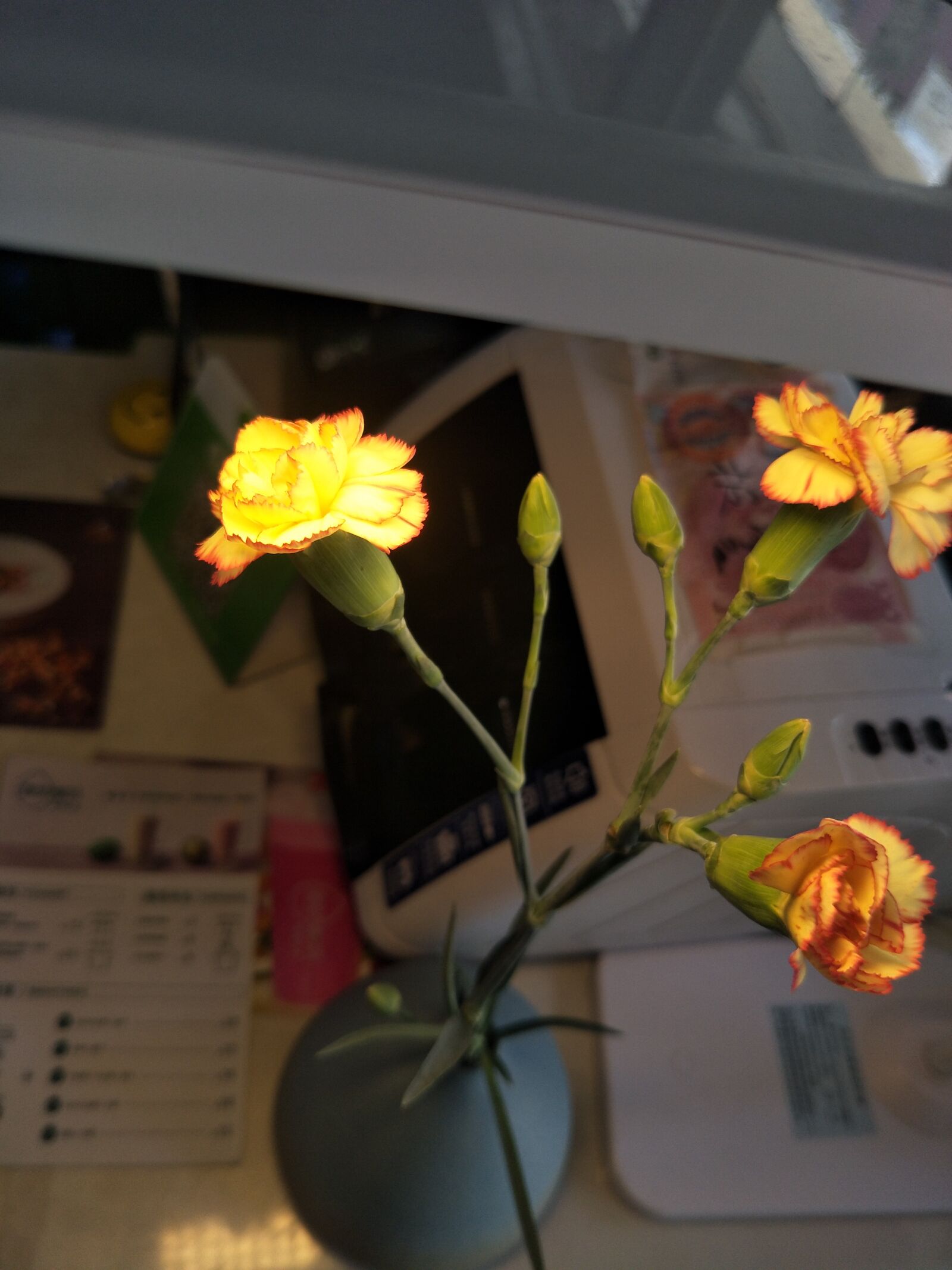 OPPO R9S sample photo. Flower arrangement, chrysanthemum, cafe photography