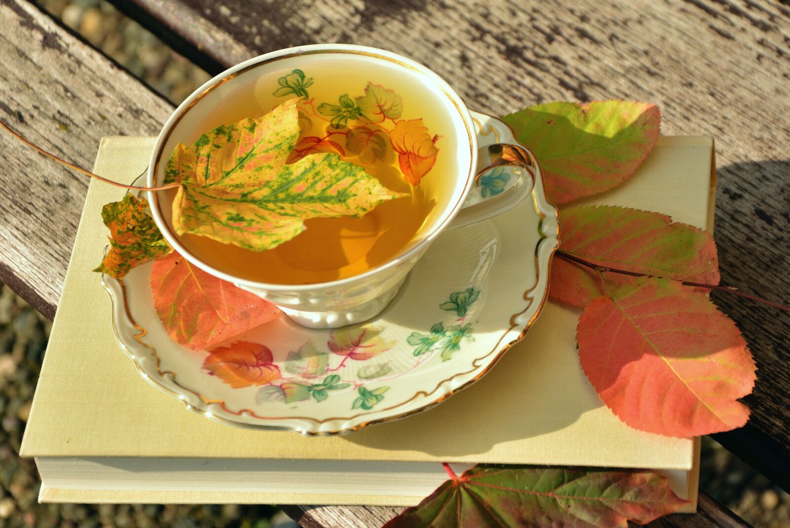 Nikon D5200 sample photo. Tee, teacup, autumn photography