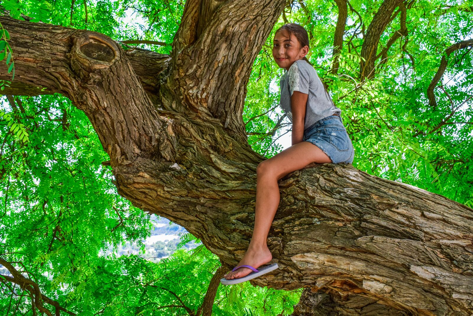 Nikon D3300 sample photo. Teen, girl, tree photography