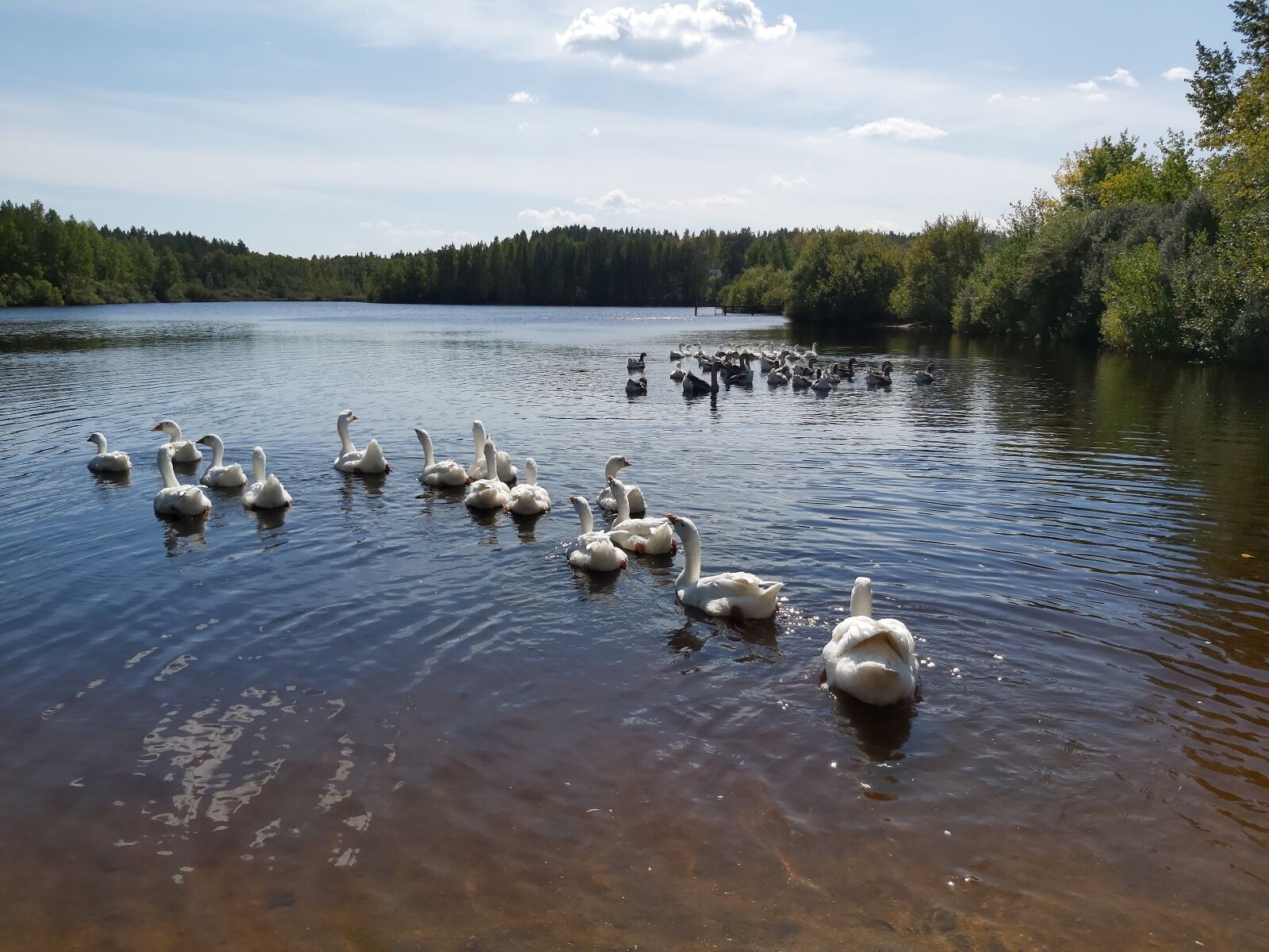 Samsung Galaxy A70 sample photo. Nature, body of water photography