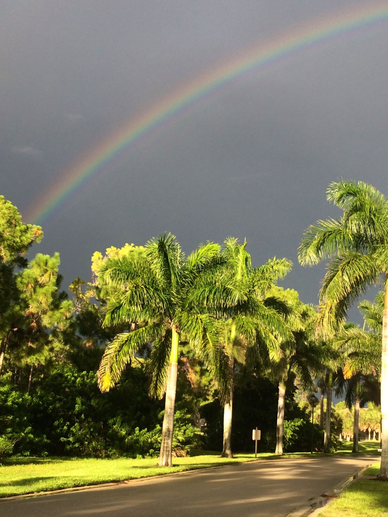 iPhone 5s back camera 4.12mm f/2.2 sample photo. Rainbow, tropical storm, tropical photography