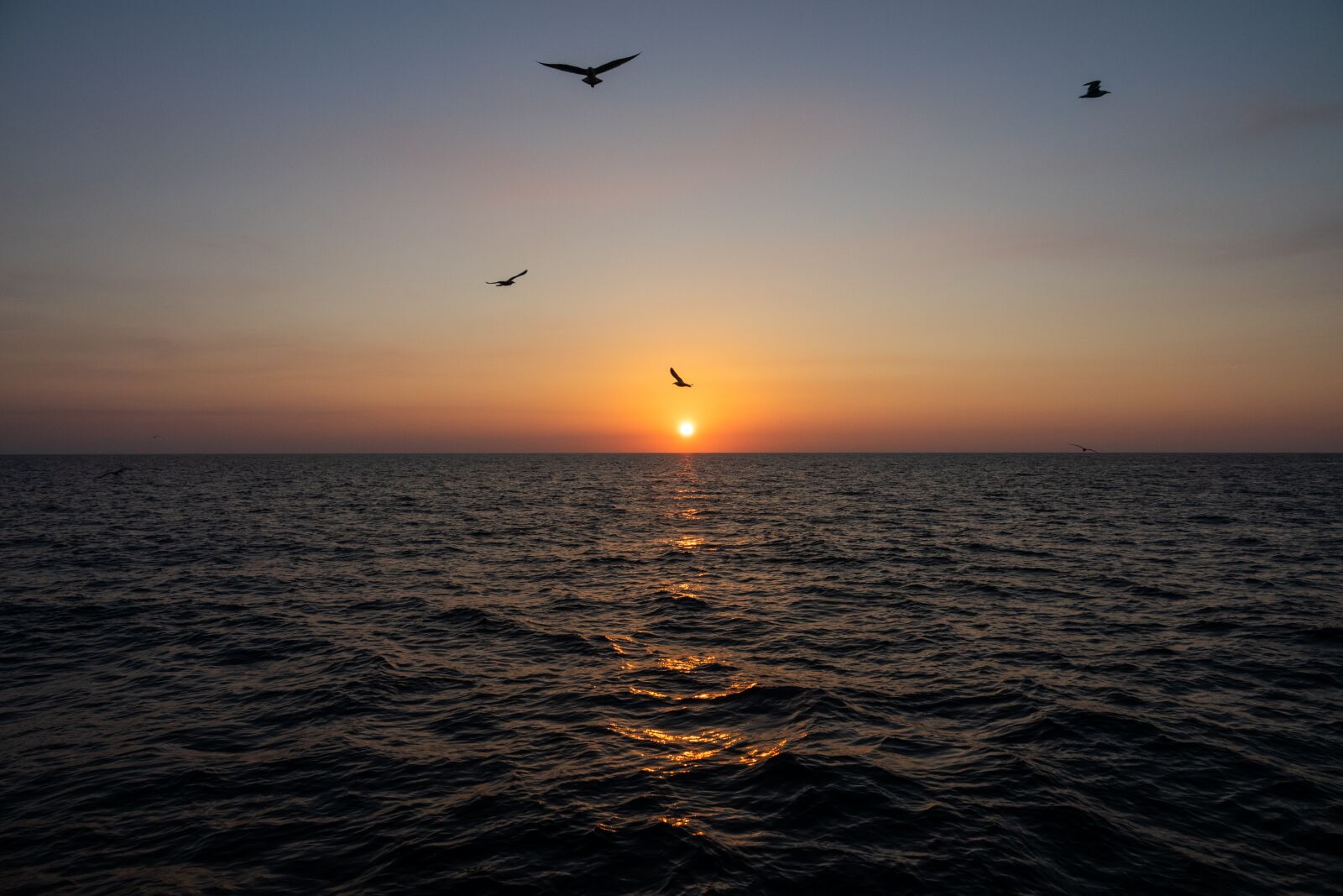 Sony Cyber-shot DSC-RX10 III sample photo. Sunset, sea, water photography