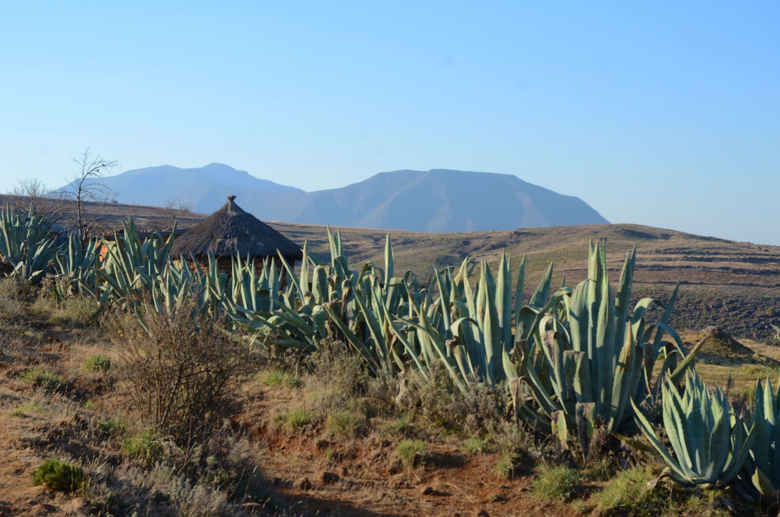 Nikon D7000 sample photo. Africa, lesotho, landscape photography