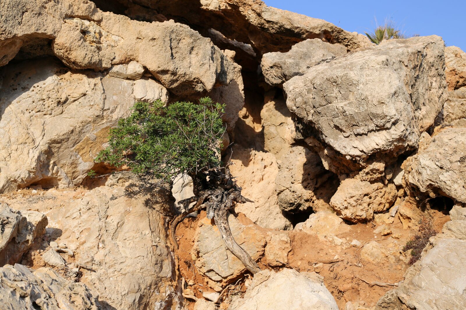 Canon EOS 5D Mark III sample photo. Sardinia, italy, vacation photography