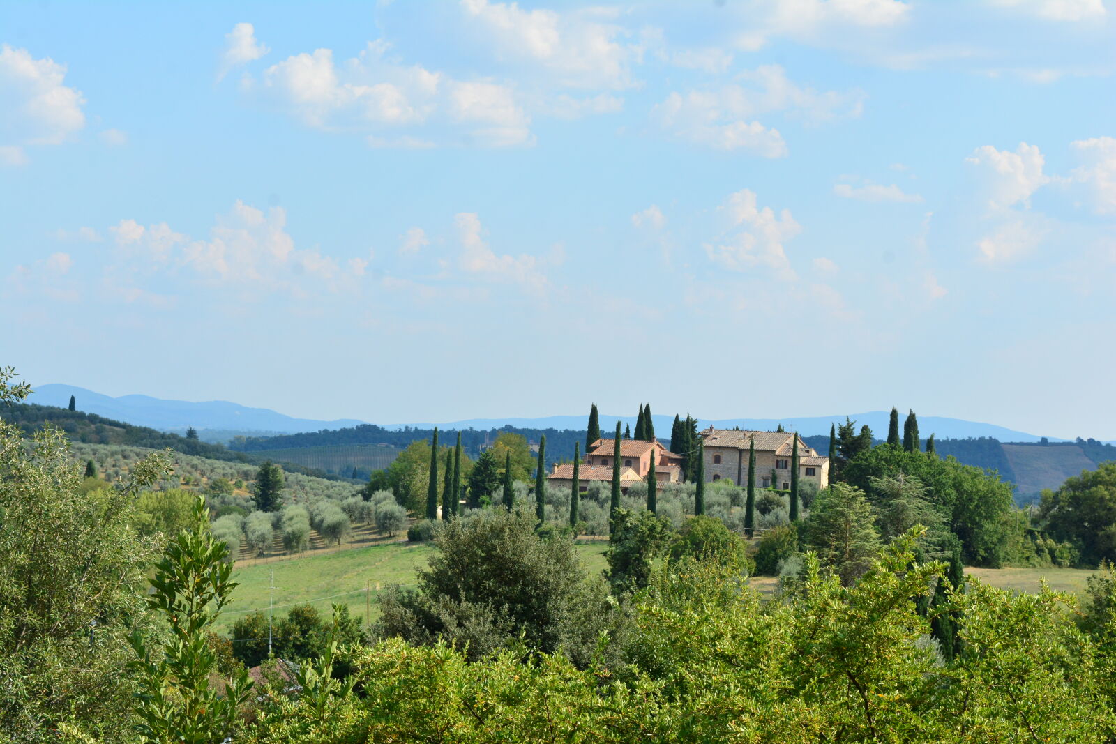 Nikon D7100 sample photo