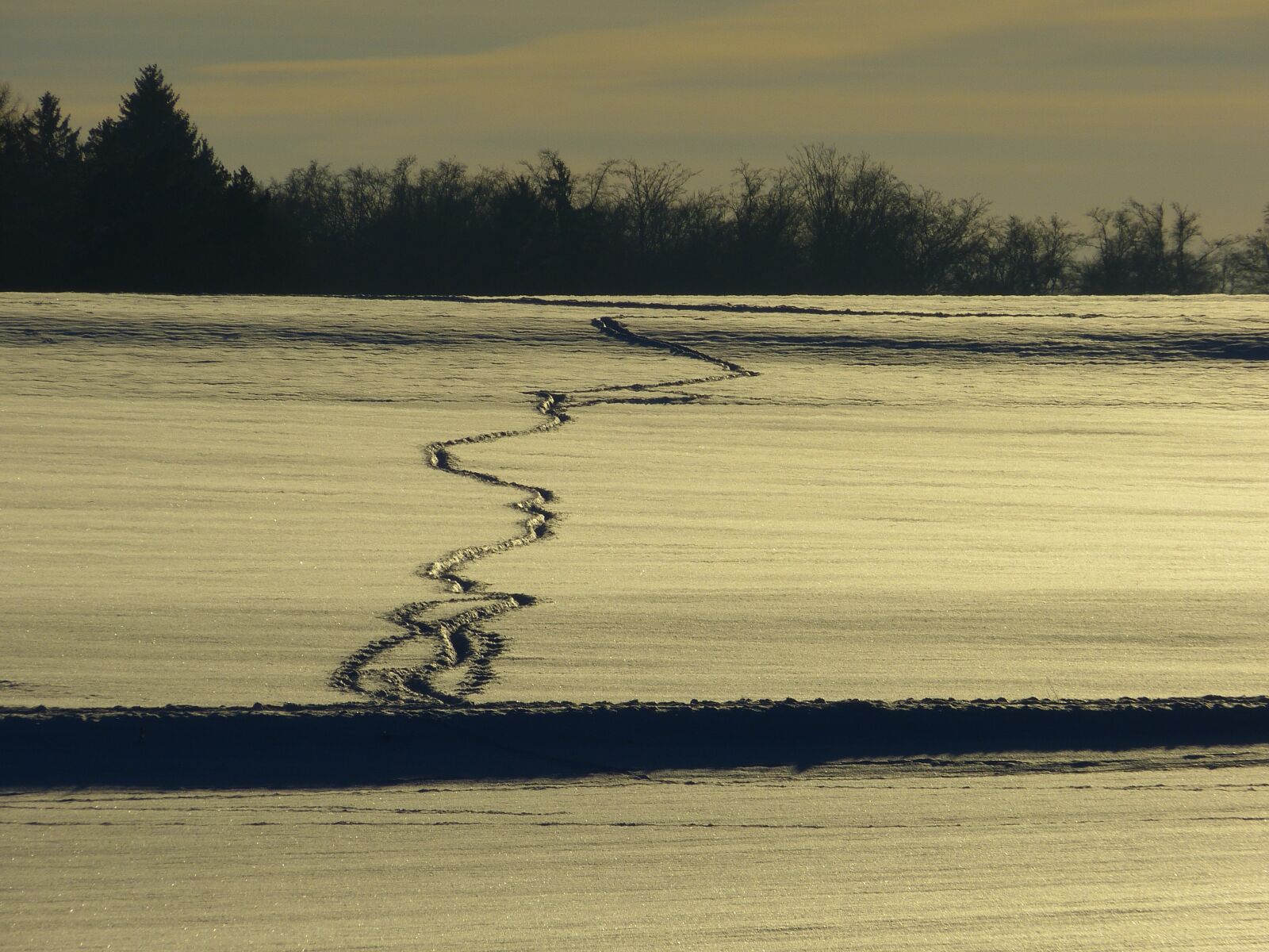 Panasonic Lumix DMC-FZ150 sample photo. Snow, traces, winter photography