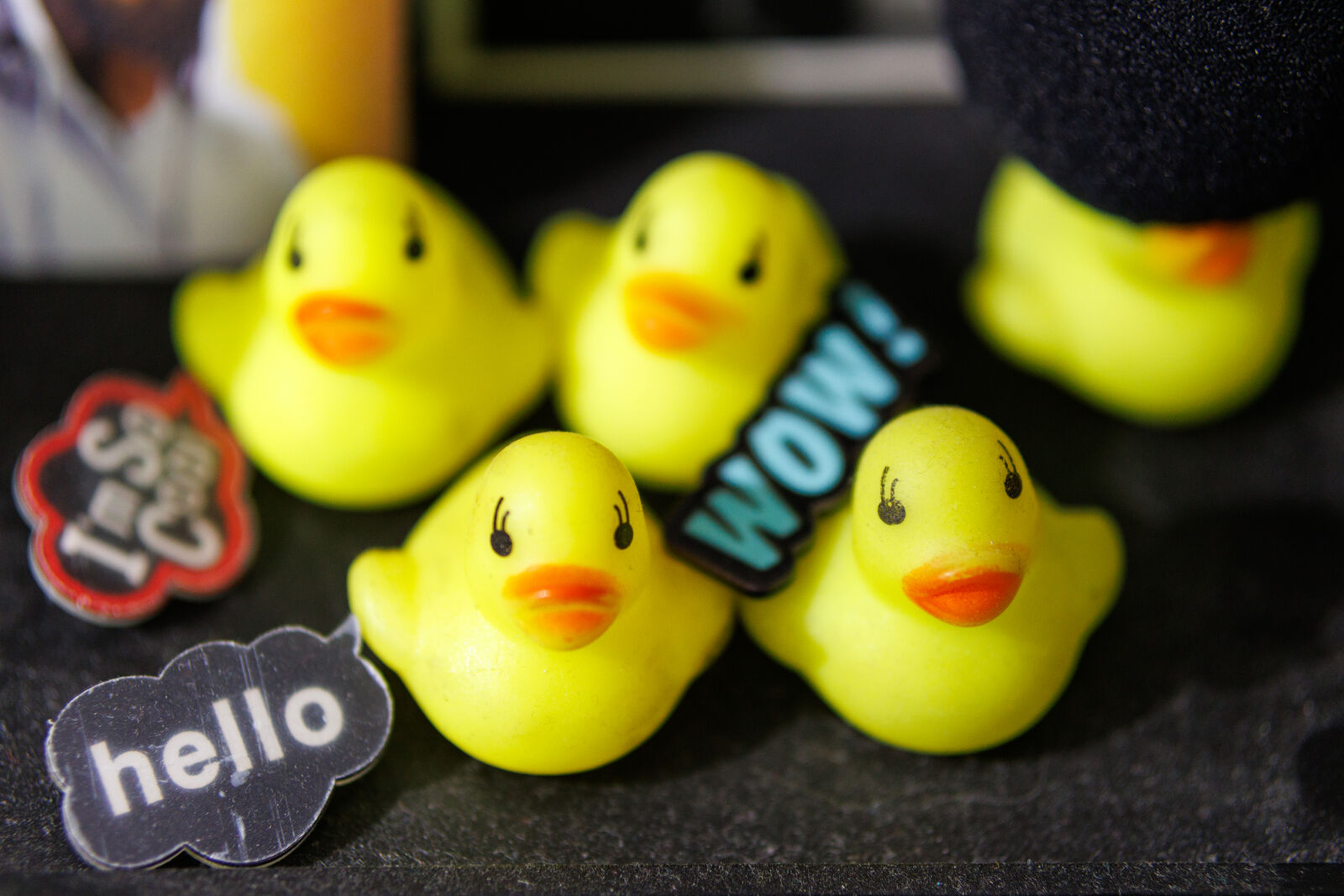 Canon EOS R7 sample photo. Hello ducks photography
