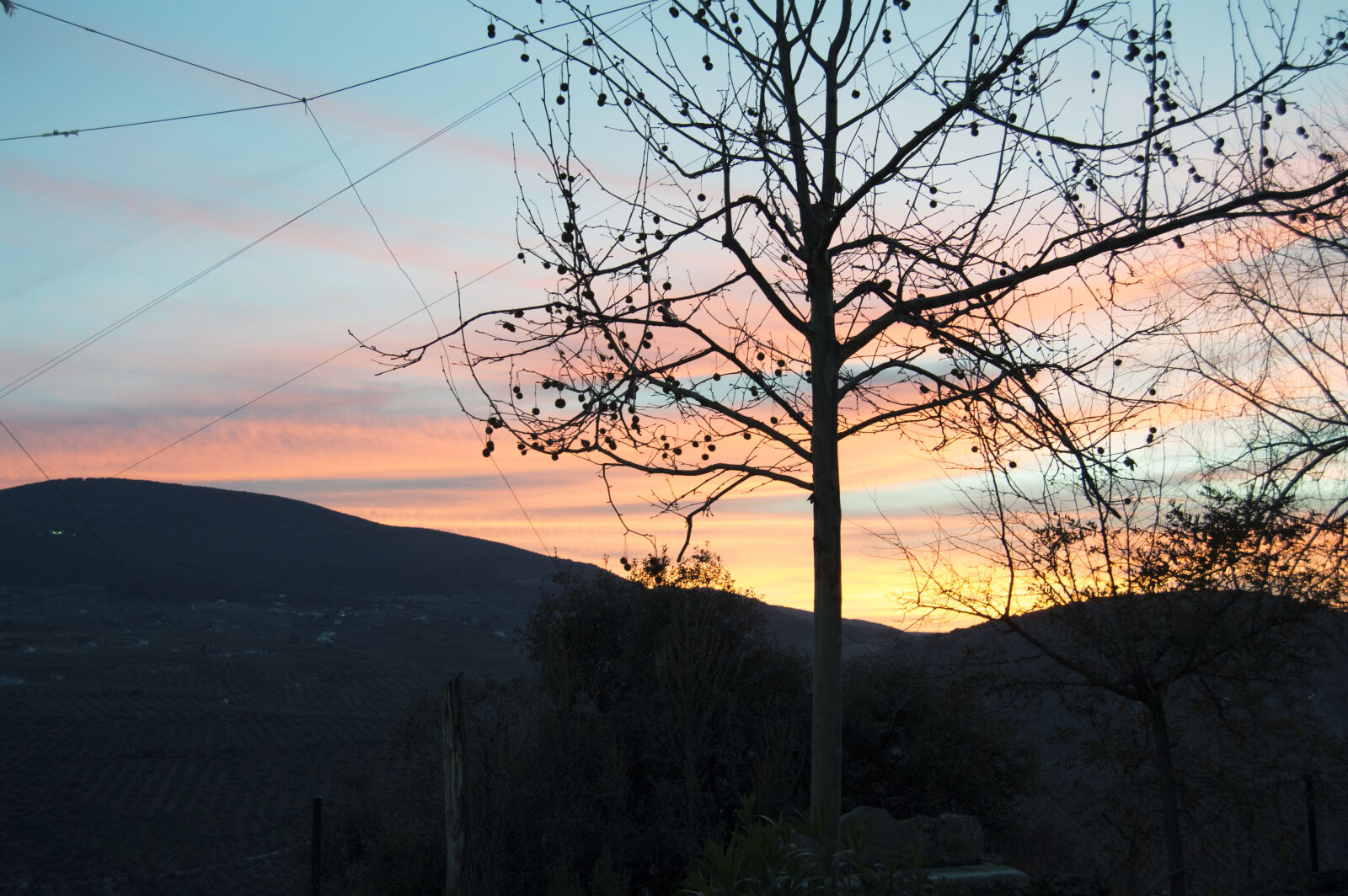Nikon D3200 sample photo