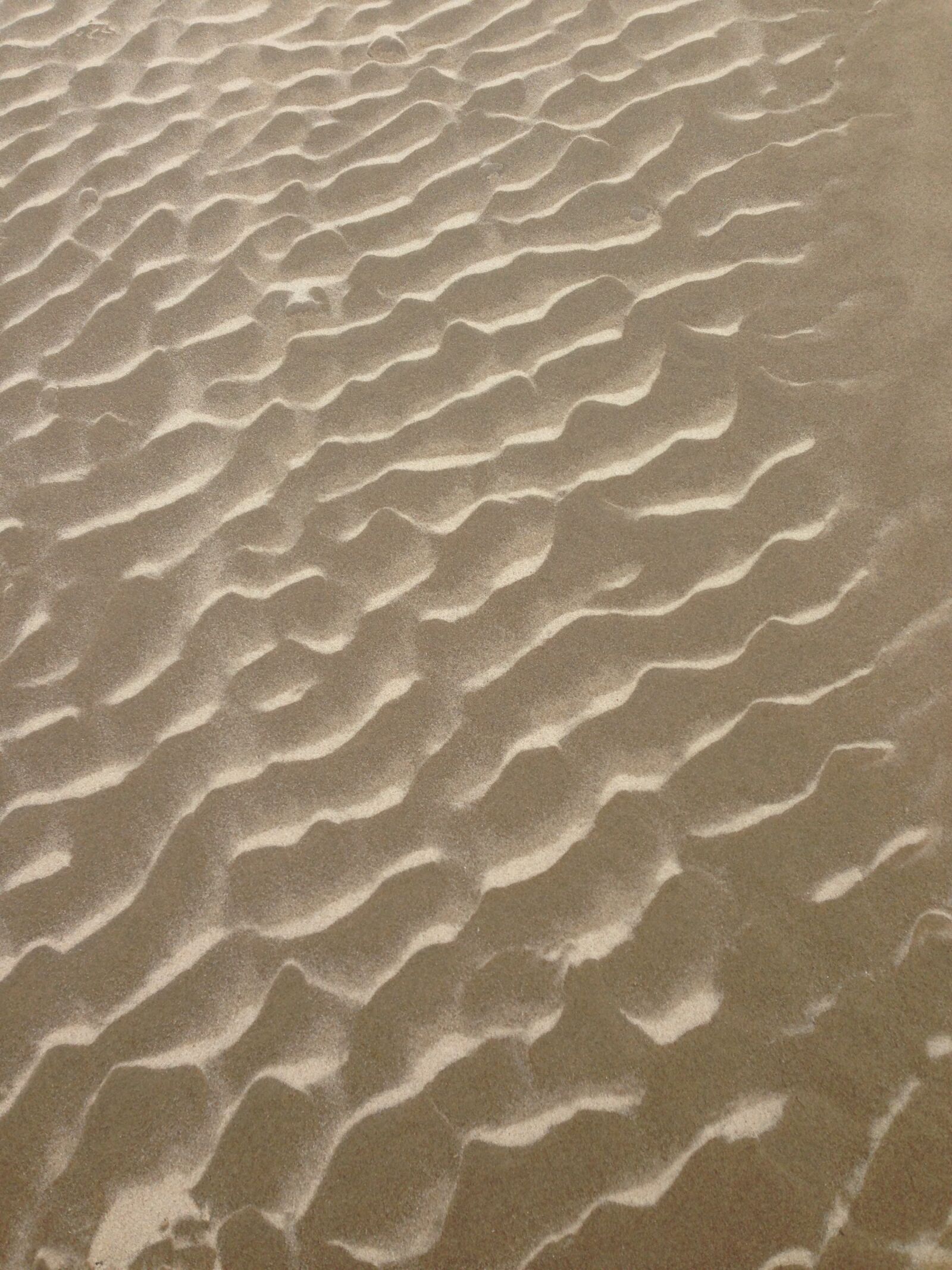 iPhone 5 back camera 4.12mm f/2.4 sample photo. Beach, sand, nature photography