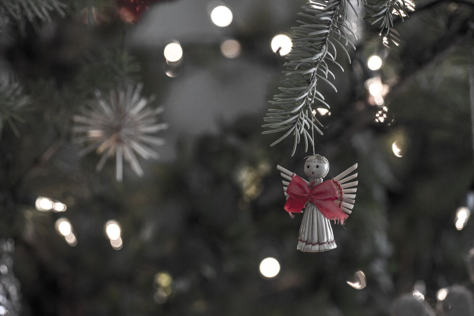 Nikon D3100 sample photo. Winter, christmas, tree photography