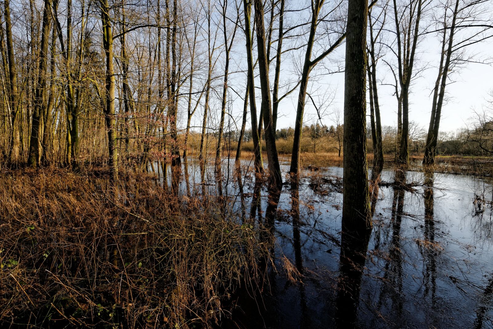 Nikon D300S sample photo. Oste, low stuff, flood photography