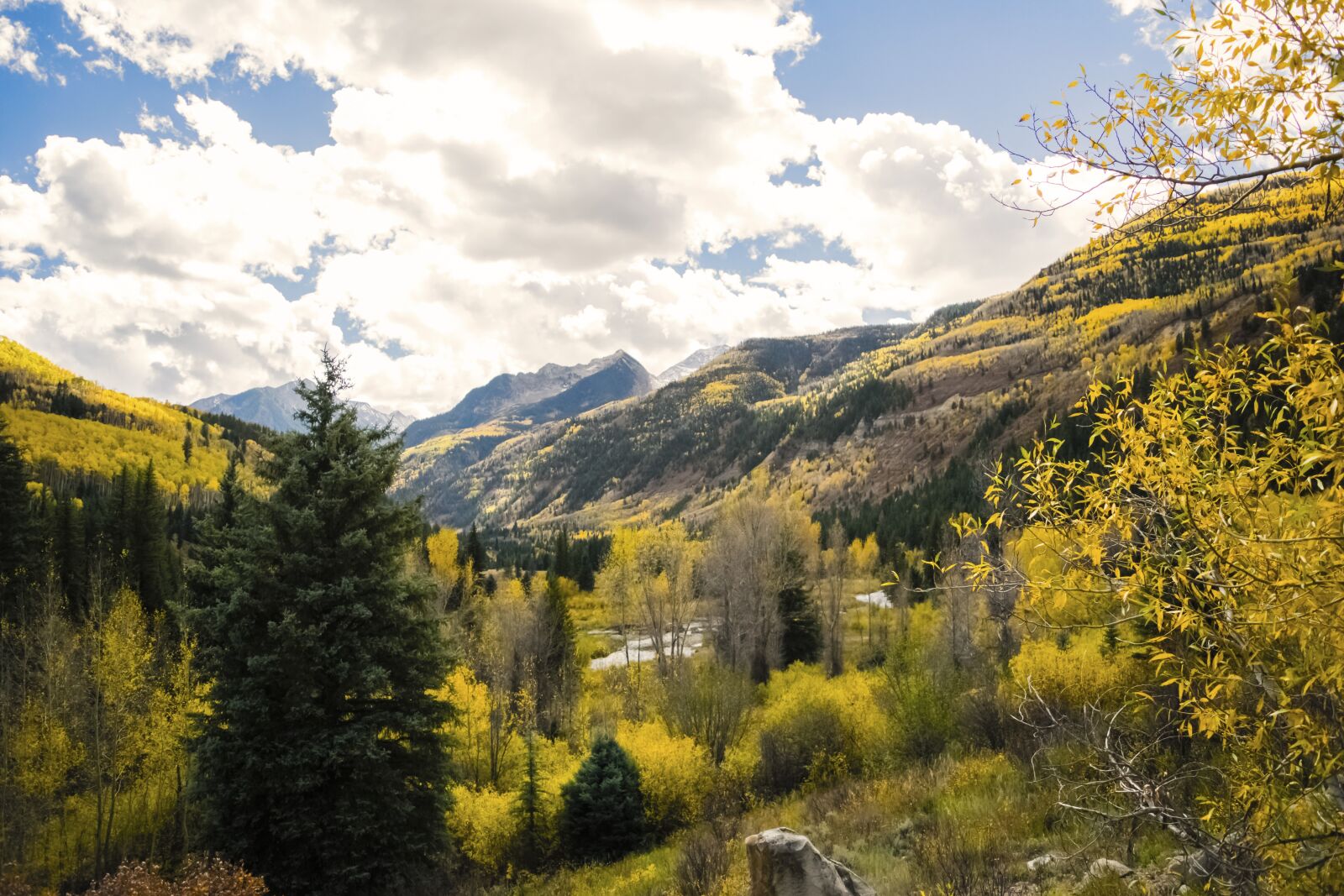 Nikon D3300 sample photo. Colorado, fall leaves, mountains photography