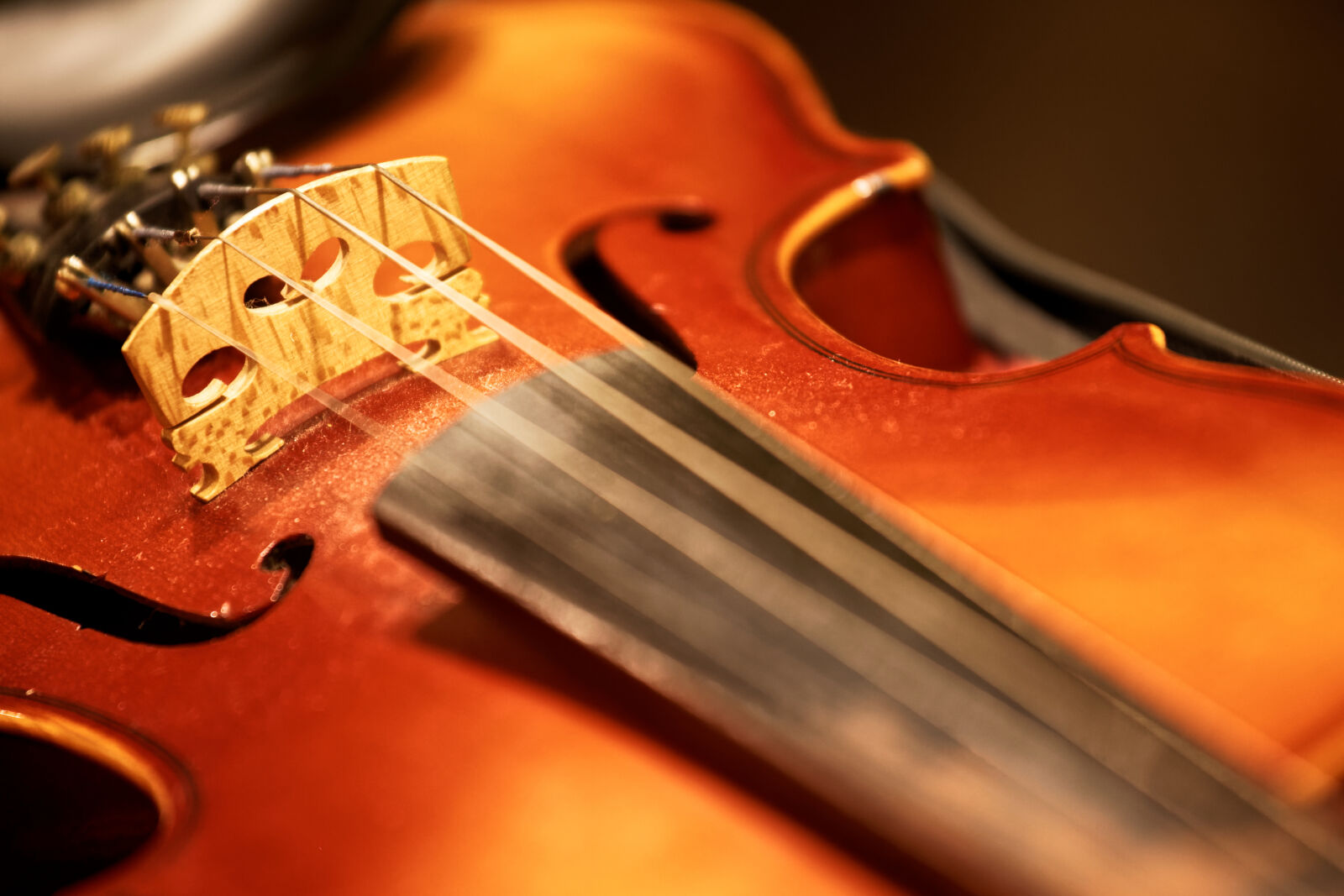 Canon EF 70-200mm F4L IS USM sample photo. Night, strings, theme, music photography