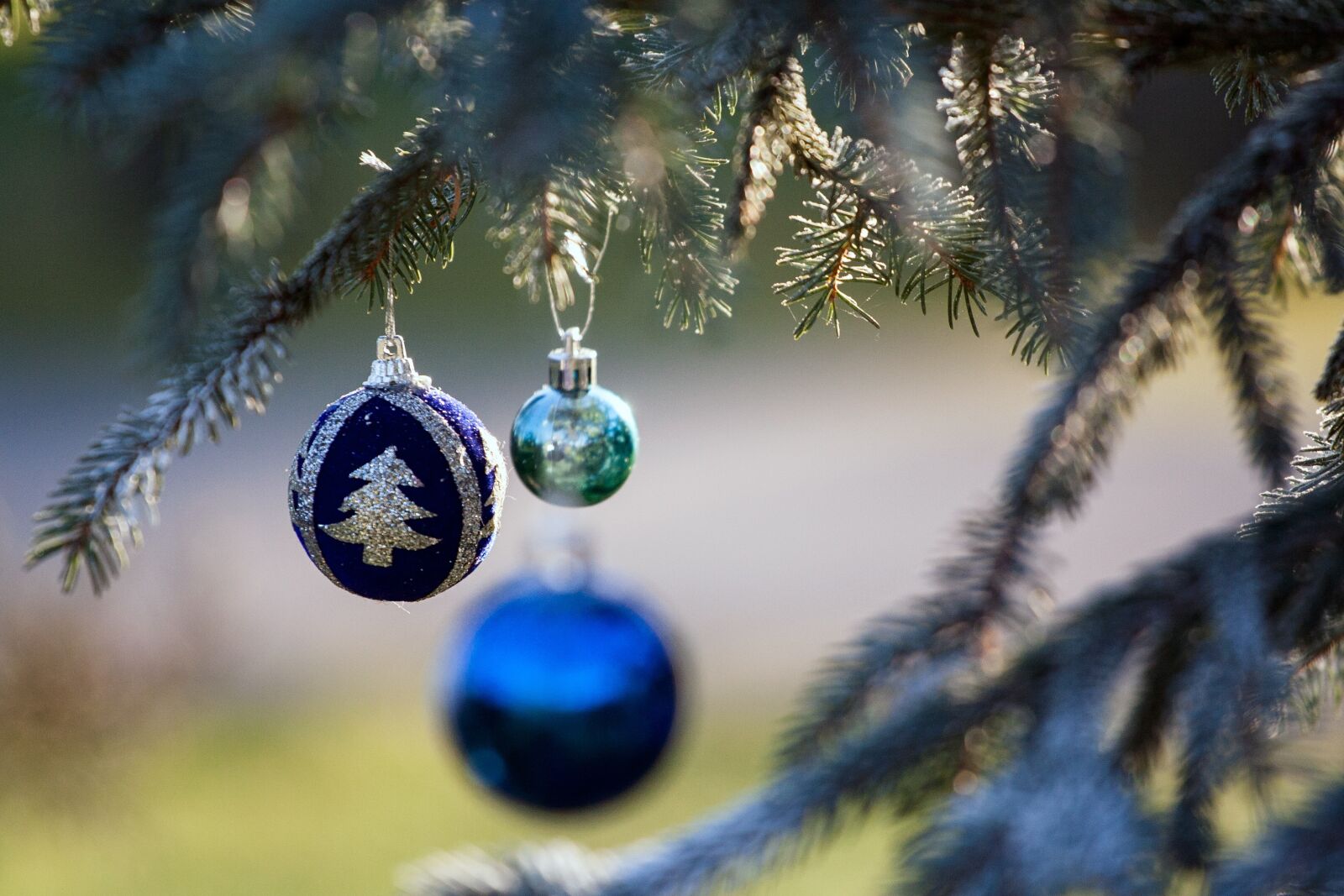 Canon EOS 350D (EOS Digital Rebel XT / EOS Kiss Digital N) sample photo. Ornament, christmas, ornamentation photography