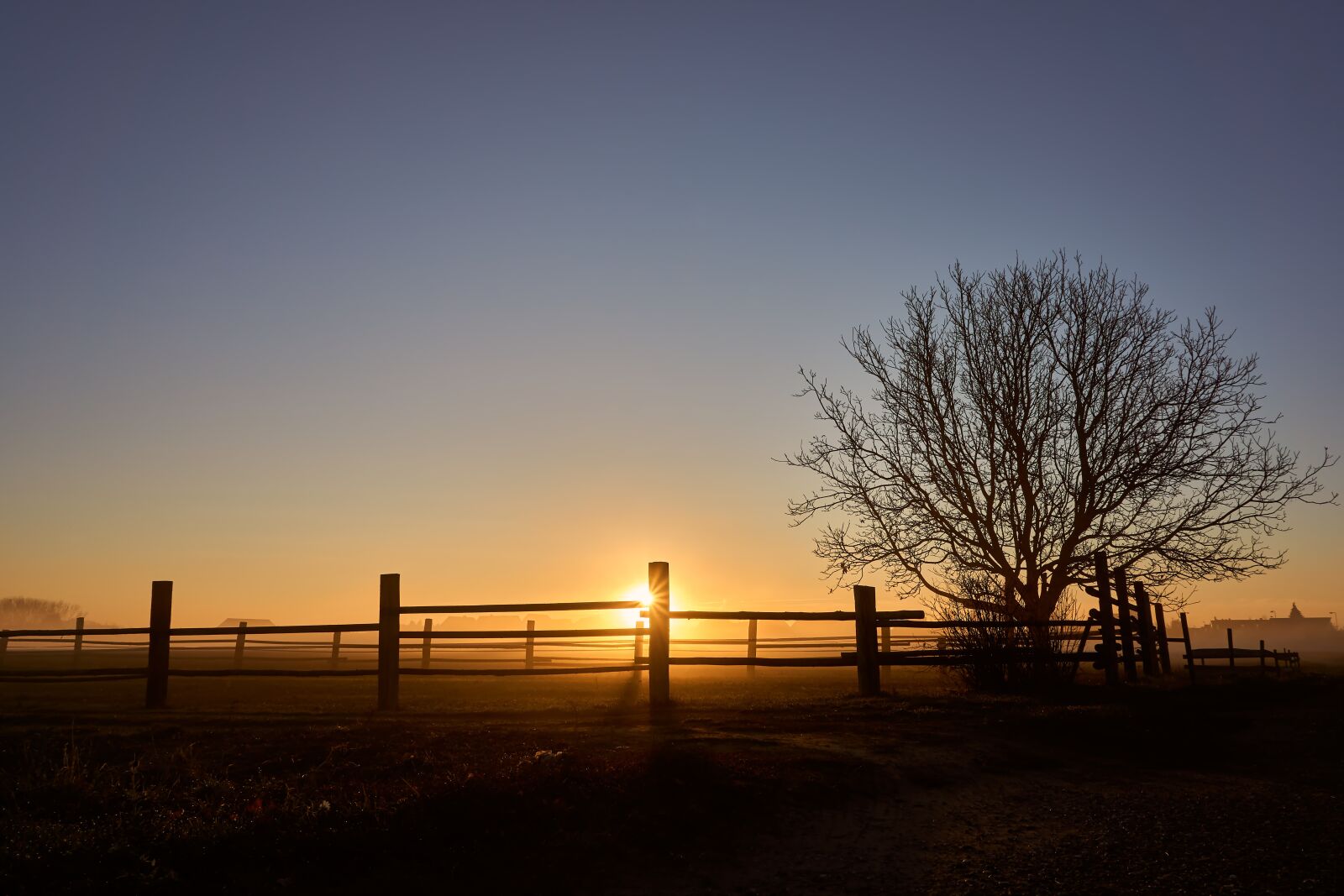 Sony a6000 sample photo. Sunrise, fog, autumn photography