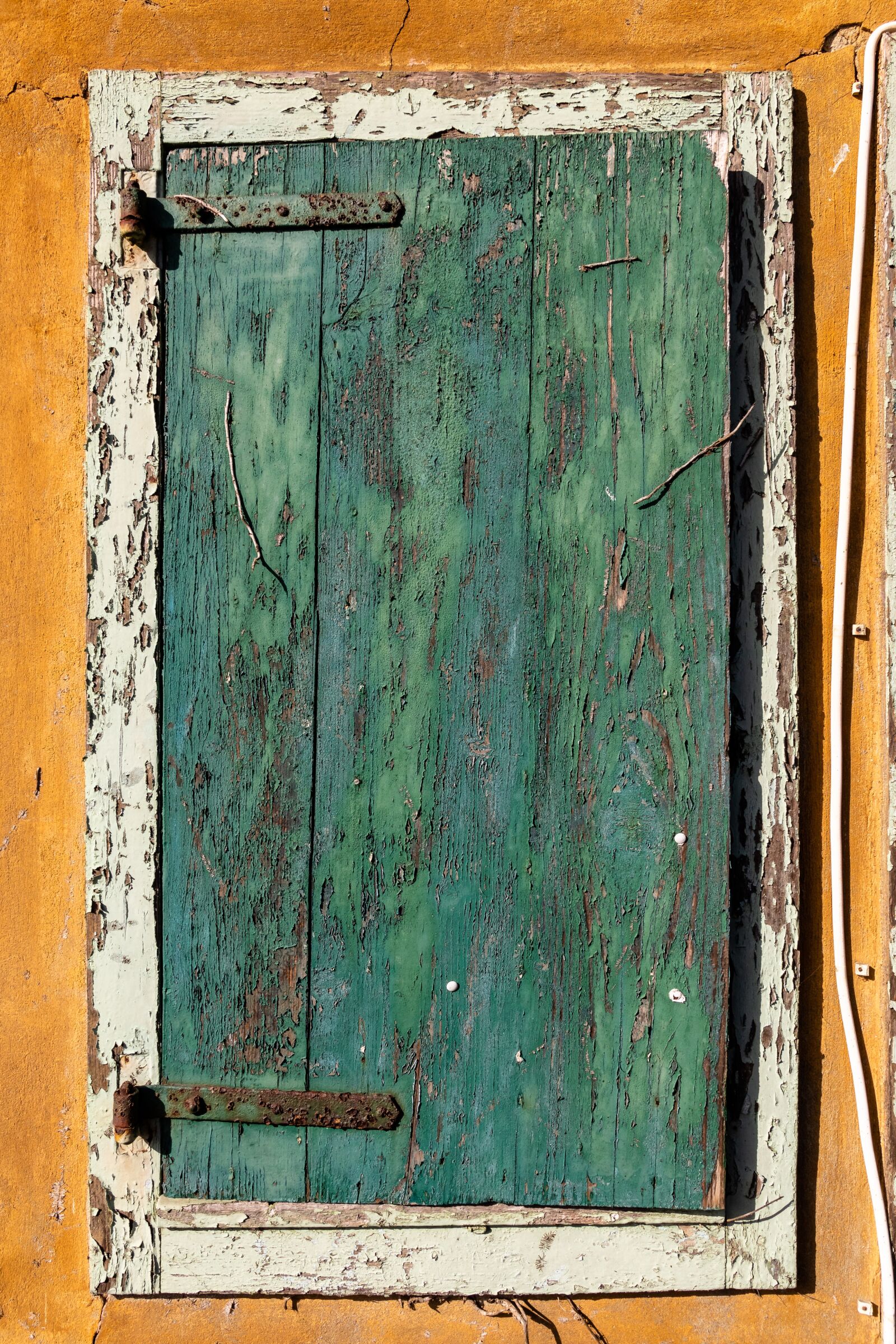 Canon EOS 80D sample photo. Wood, dirty, woods photography