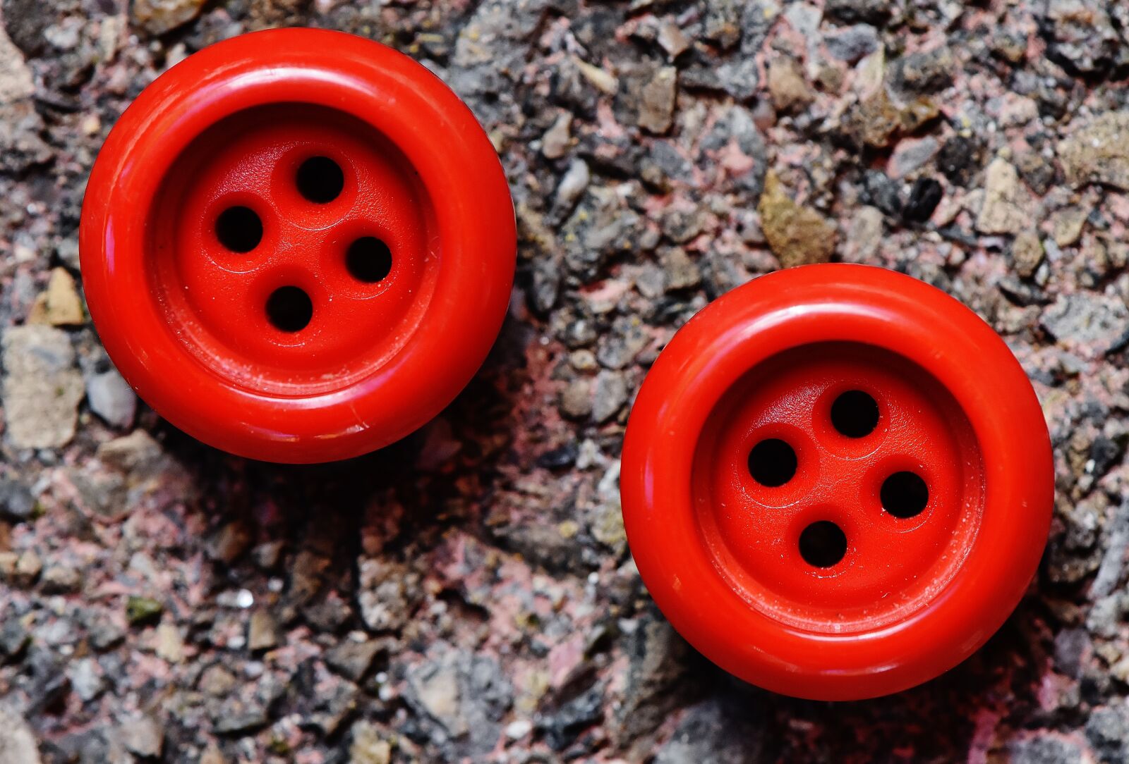 Nikon D7200 sample photo. Buttons, 4 holes, red photography