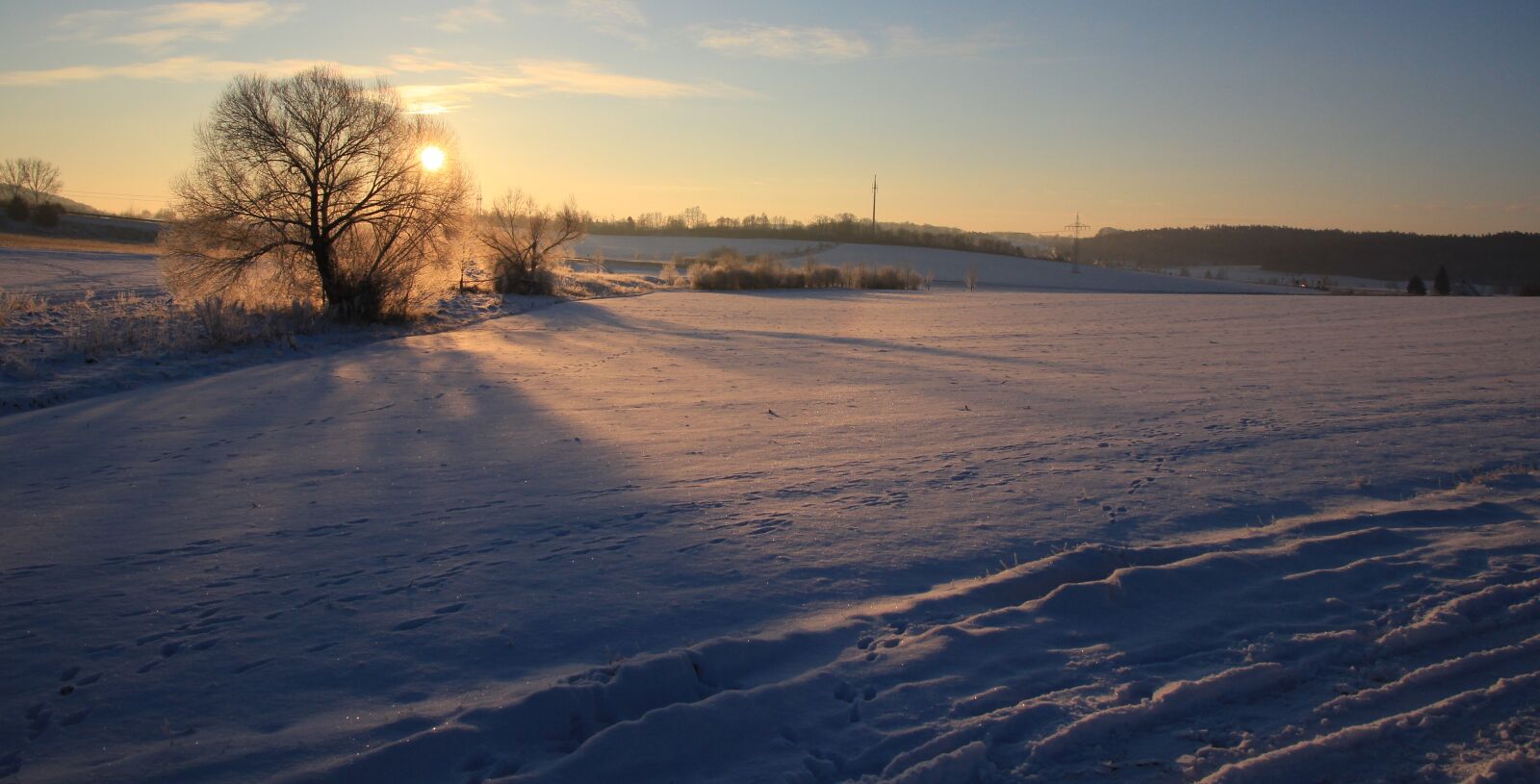 Canon EOS 600D (Rebel EOS T3i / EOS Kiss X5) sample photo. Winter sun, nature, tree photography