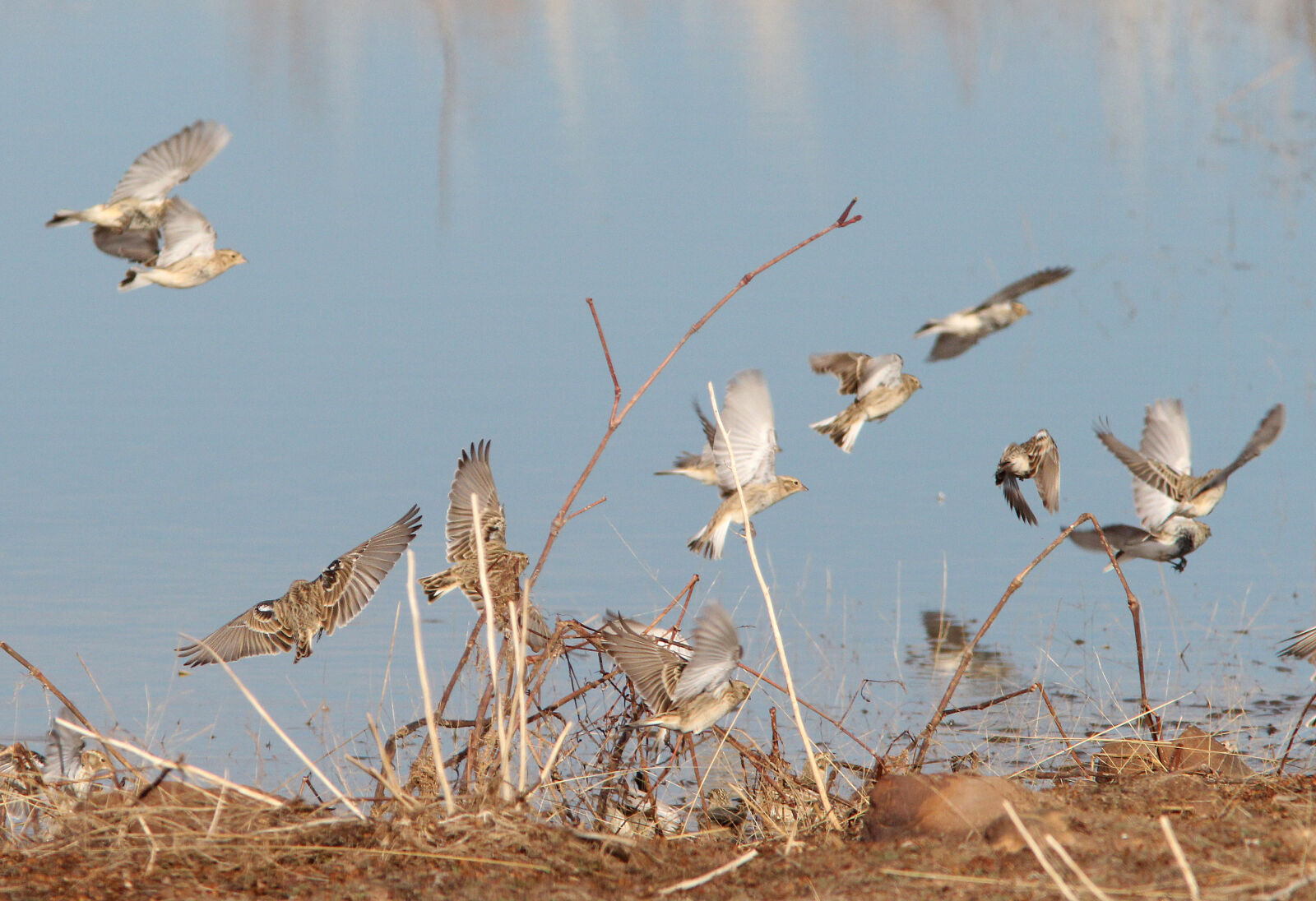 Canon EF 300mm F4L IS USM sample photo