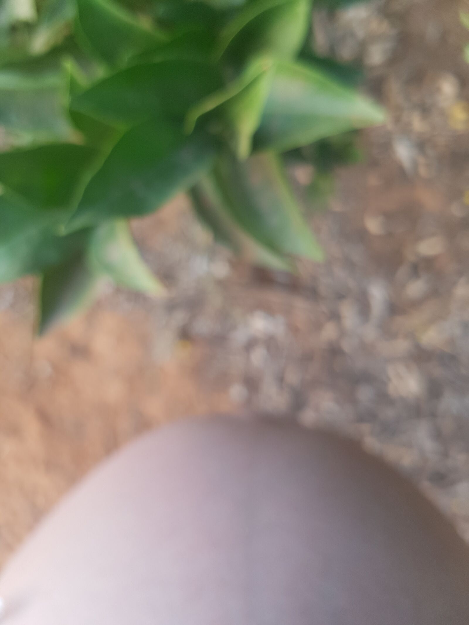 Samsung SM-G930F sample photo. Pregnancy, belly, pregnant photography