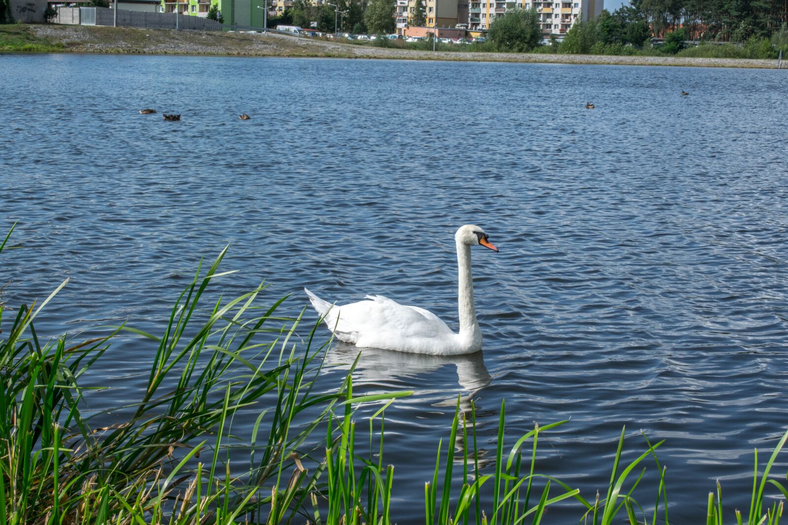 Nikon D3300 sample photo. Water, lake, pond photography