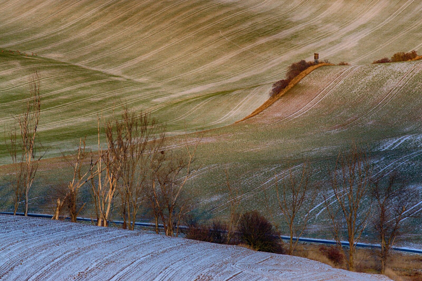 Sony ILCA-77M2 + Minolta AF 200mm F2.8 HS-APO G sample photo. Landscape, winter, trees photography