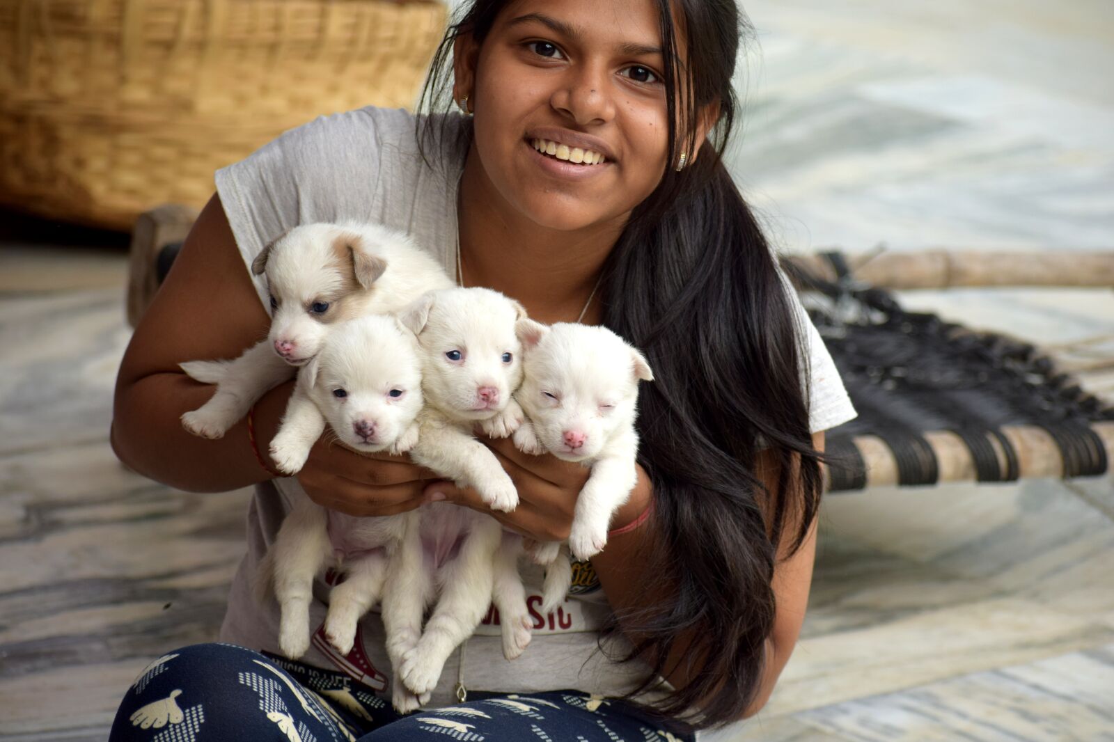 Nikon D3300 sample photo. Newborn pups, puppies, dog photography