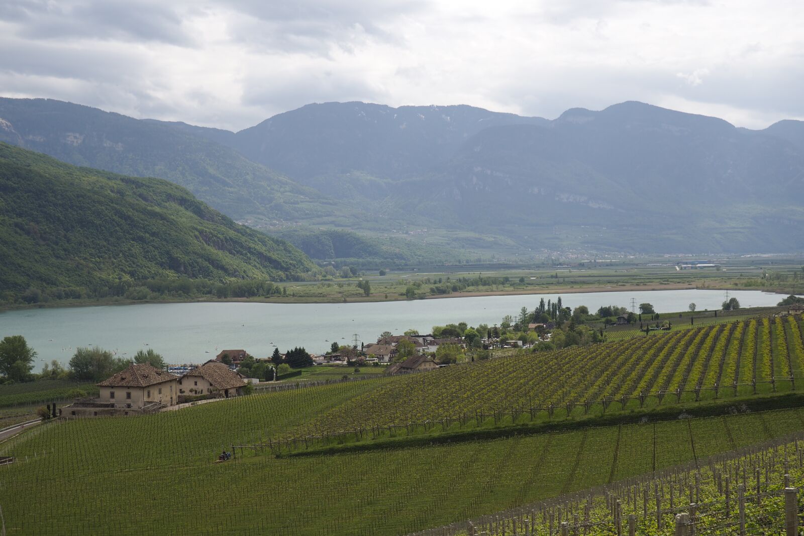 Olympus OM-D E-M10 II sample photo. Caldaro, lake, italy photography