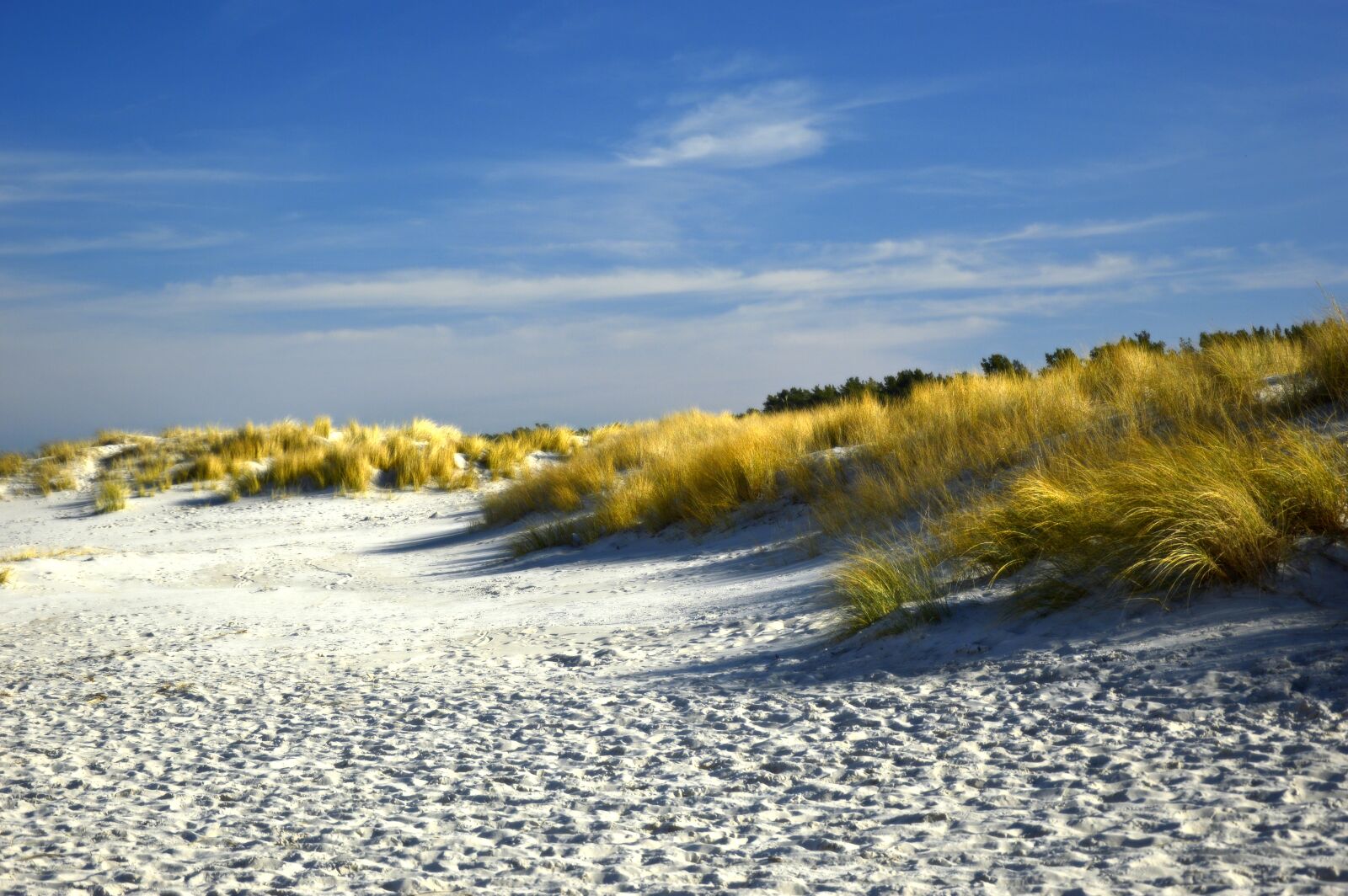 Nikon D3200 sample photo. Dunes, dune landscape, beach photography