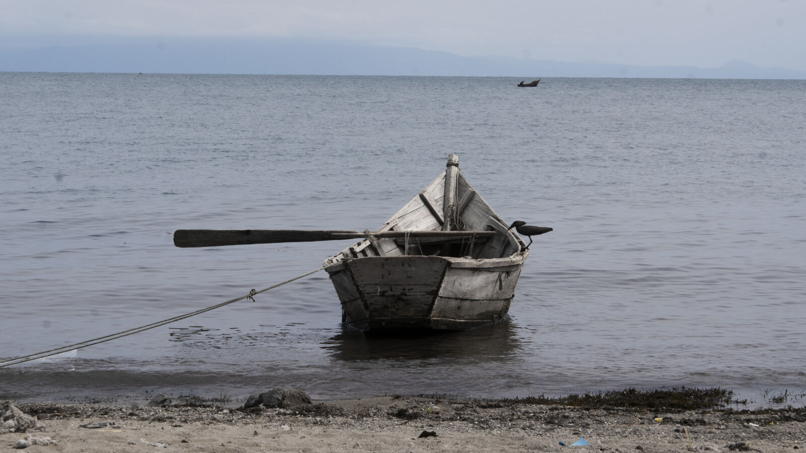 Sony Alpha DSLR-A100 sample photo. Sailing, fishing, boats, lonely photography