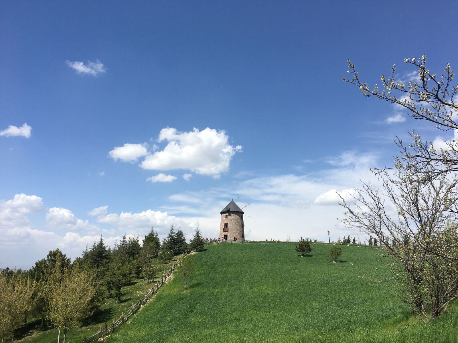 Apple iPhone 6s sample photo. Water mill in nature photography