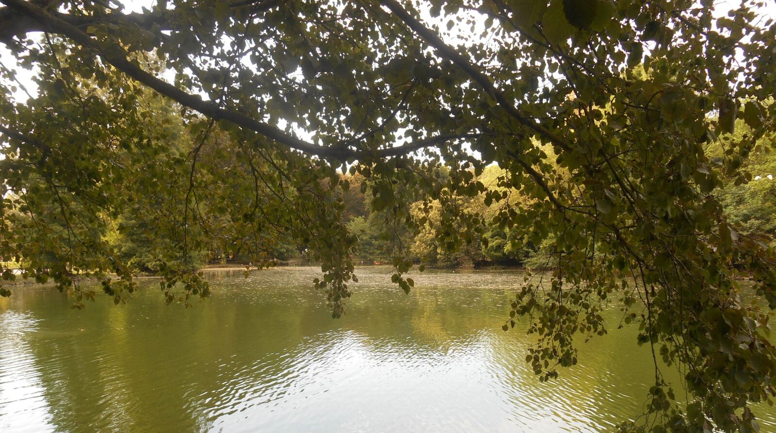 Nikon Coolpix S3500 sample photo. Landscape, lake, pond photography