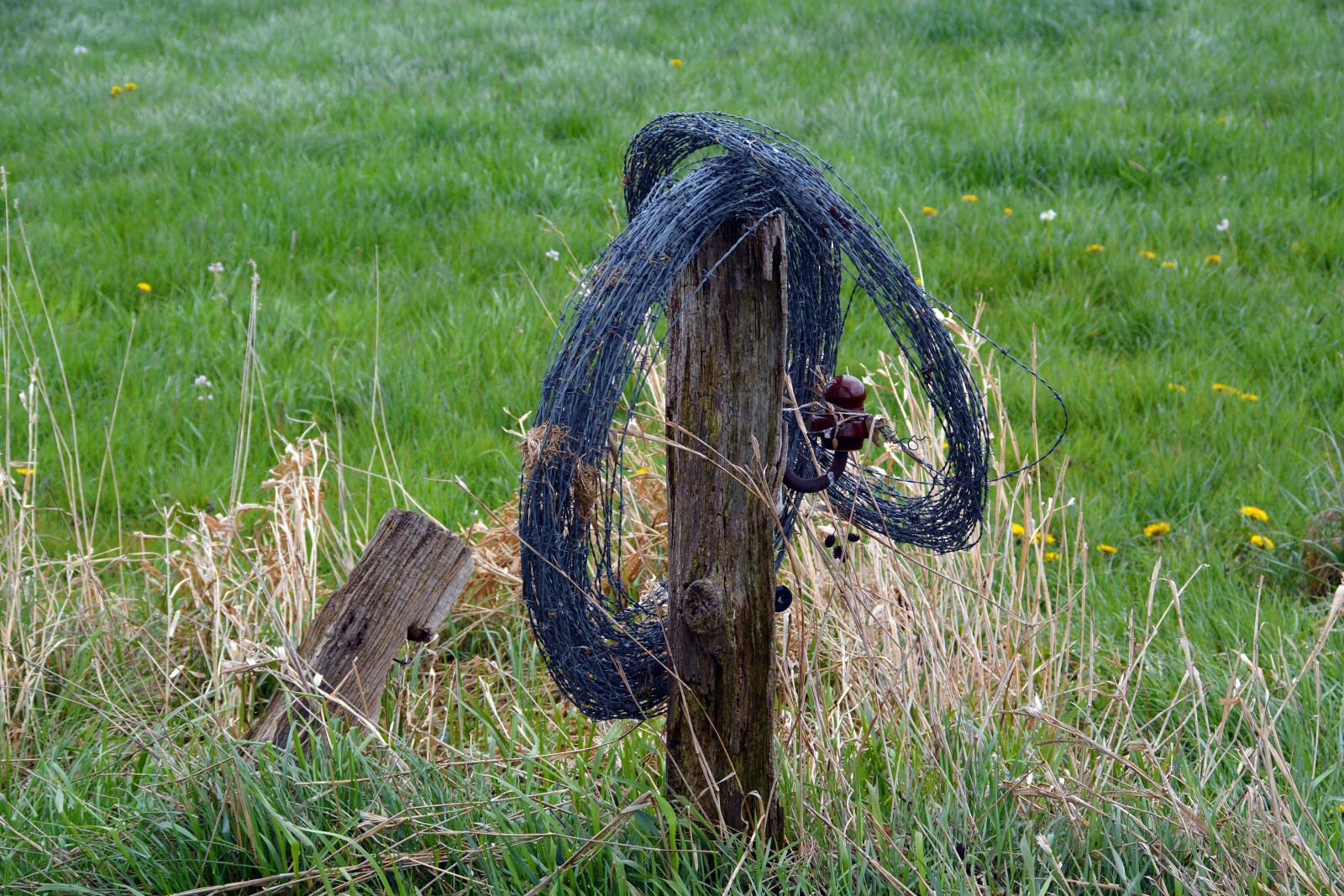 Nikon D5200 sample photo. Pasture fence, barbed wire photography
