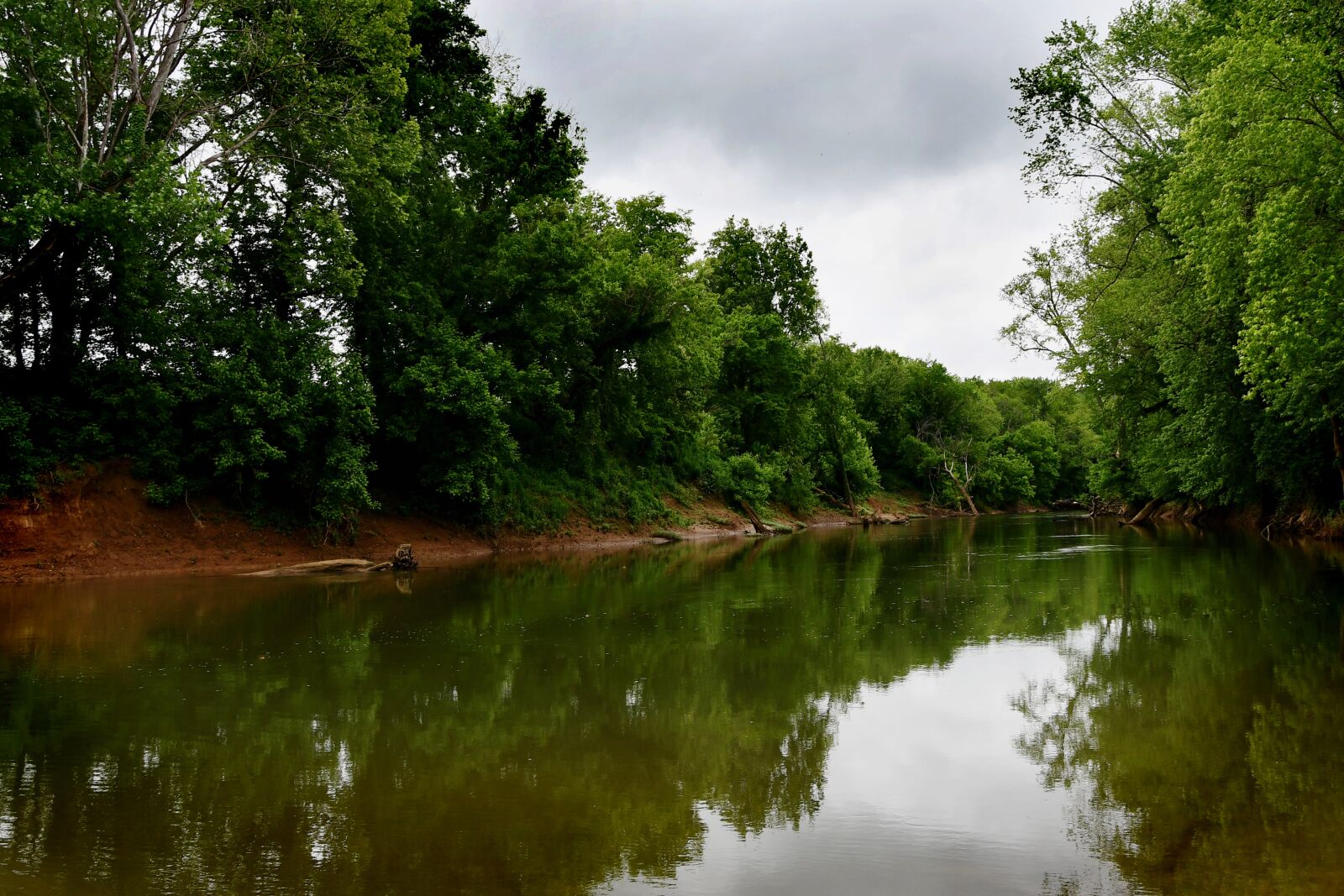 Nikon D7500 sample photo. River, nature, park photography