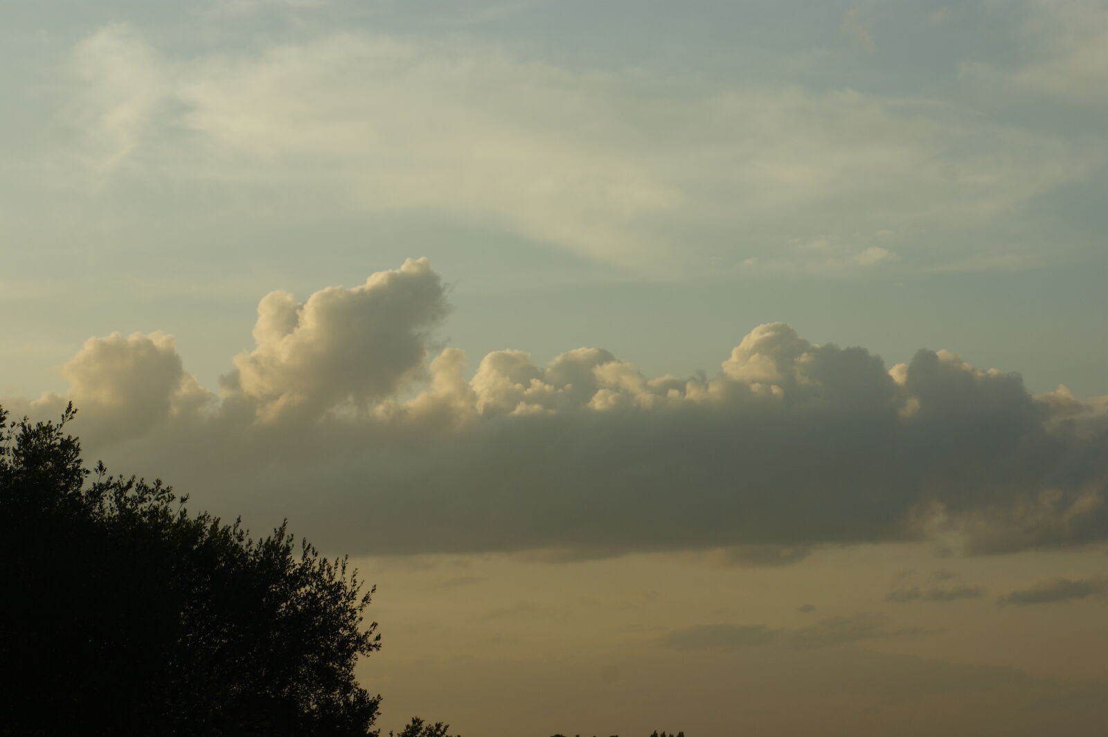 Sony Alpha DSLR-A390 sample photo