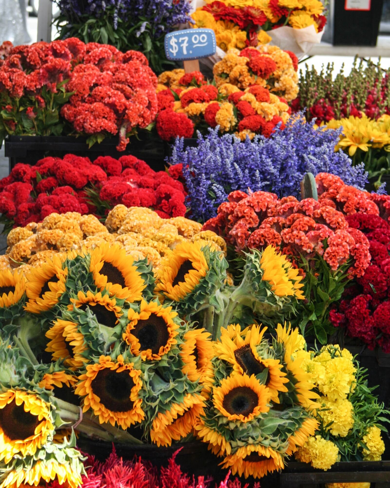 Canon EOS 350D (EOS Digital Rebel XT / EOS Kiss Digital N) sample photo. Flowers, street market, bouquet photography