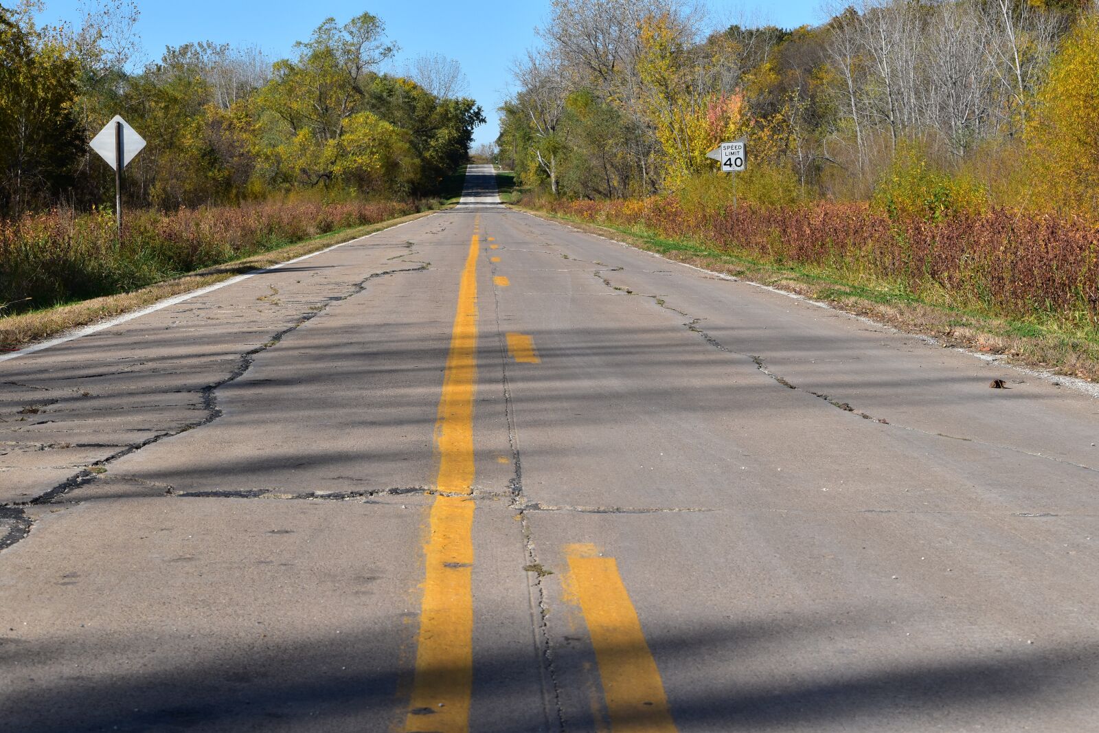 Nikon D5500 sample photo. Road, fall, landscape photography