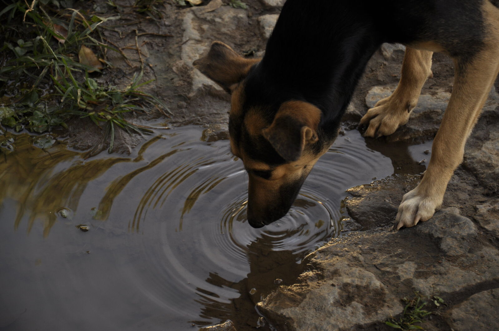 Nikon D90 sample photo. Aracuai, brasil, brazil, building photography