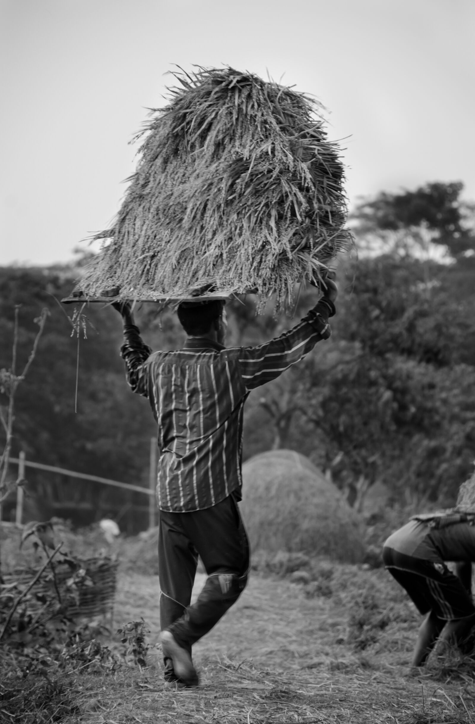 Nikon D7000 sample photo. Hard, working, people photography