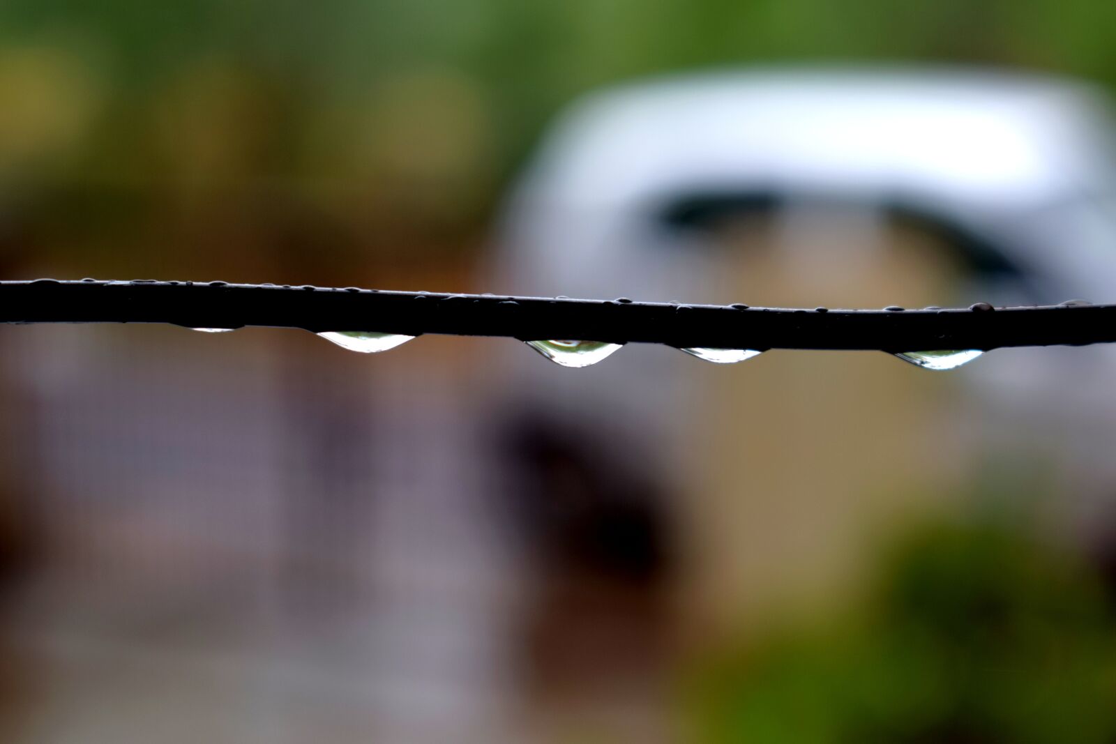 Nikon D3300 sample photo. Rains, drops, water photography