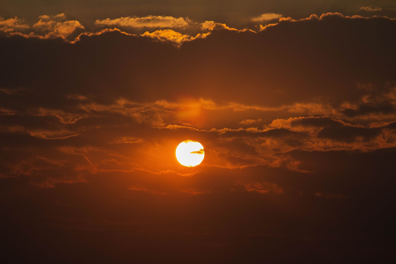 Canon EOS 600D (Rebel EOS T3i / EOS Kiss X5) sample photo. Sun, sunlight, sunshine photography