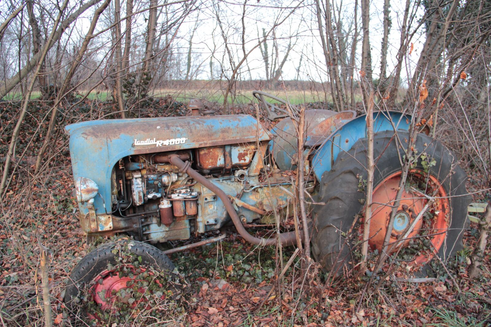 Canon EOS 600D (Rebel EOS T3i / EOS Kiss X5) sample photo. Tractor, abandonment, plants photography