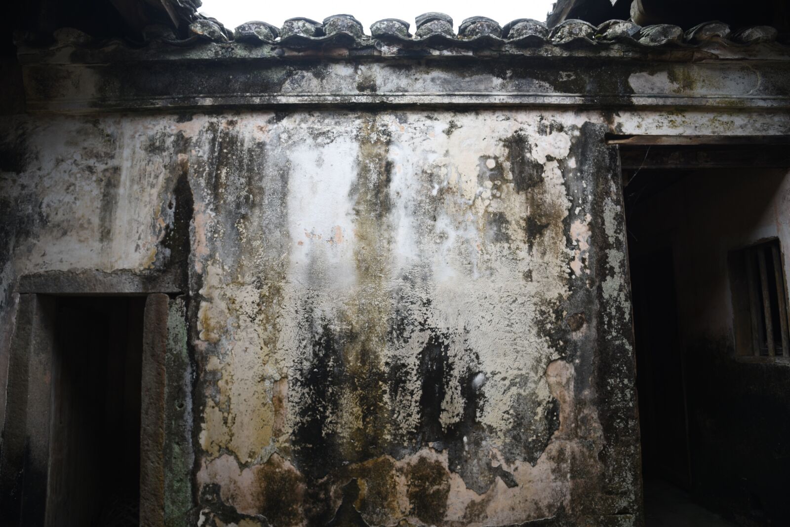 Nikon D750 sample photo. China, draw, scenery-03 photography